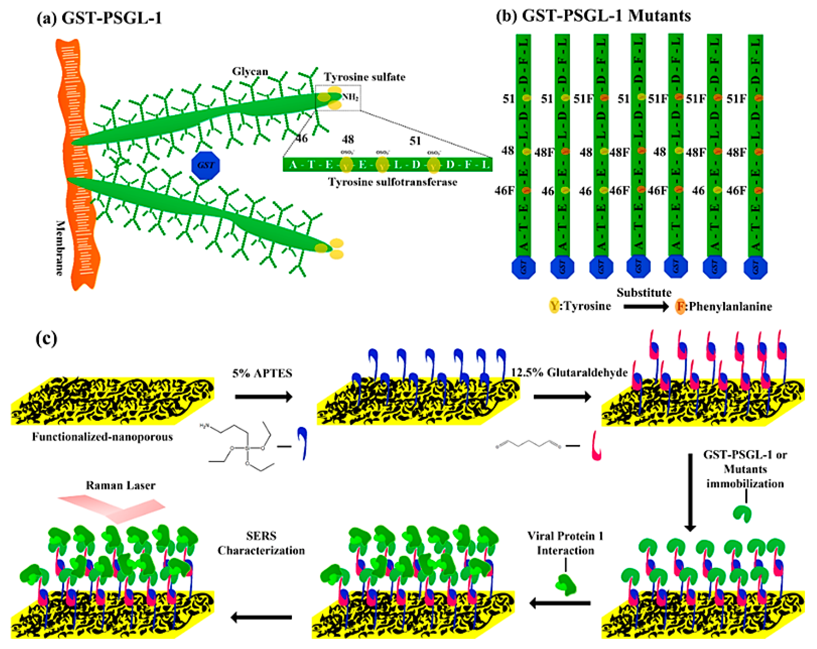 Coatings 10 00403 g001 Coatings 10 00403 g001