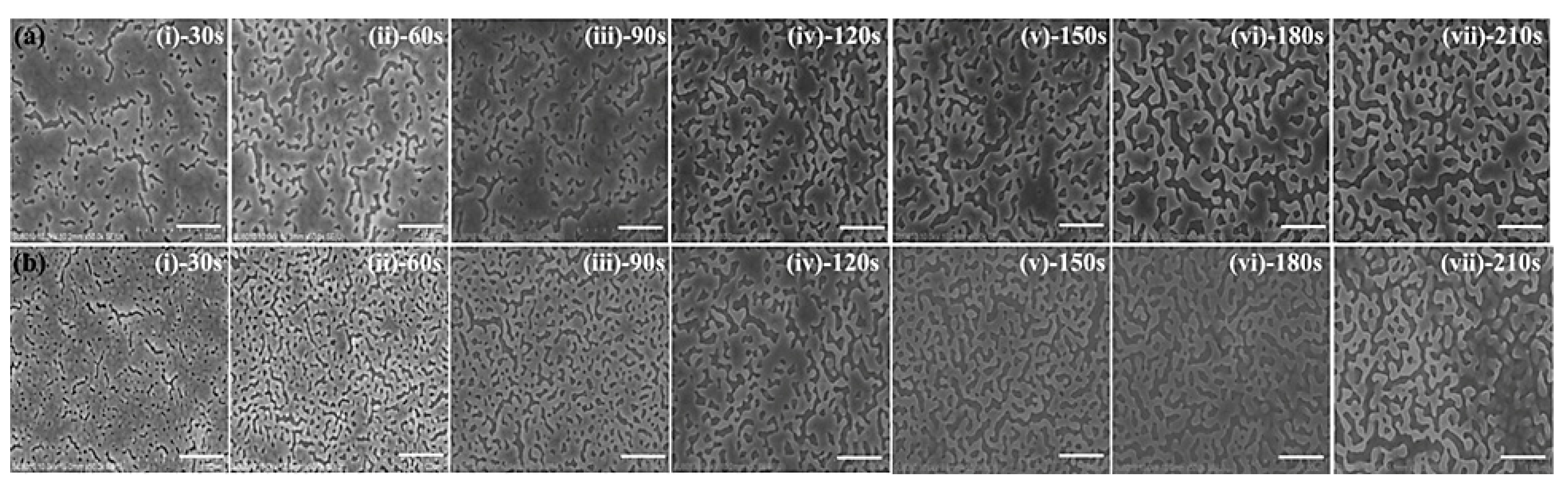 Coatings 10 00403 g002 Coatings 10 00403 g002