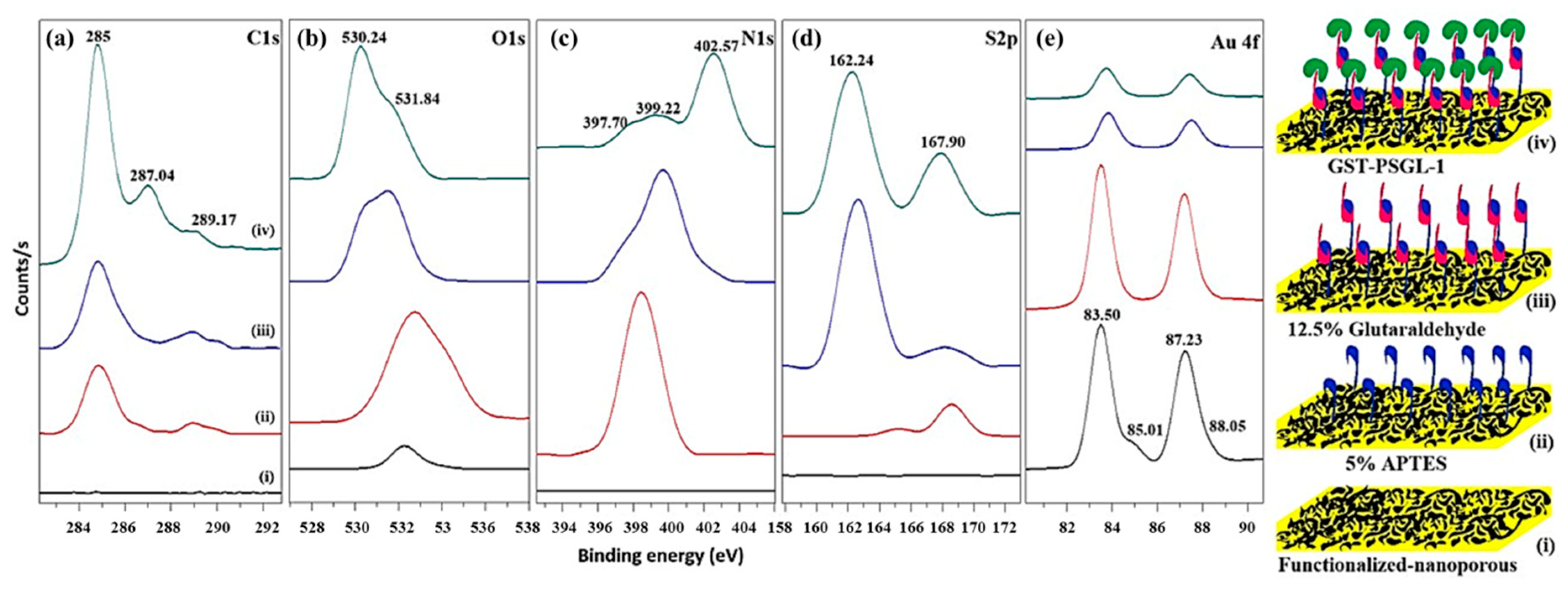 Coatings 10 00403 g004 Coatings 10 00403 g004
