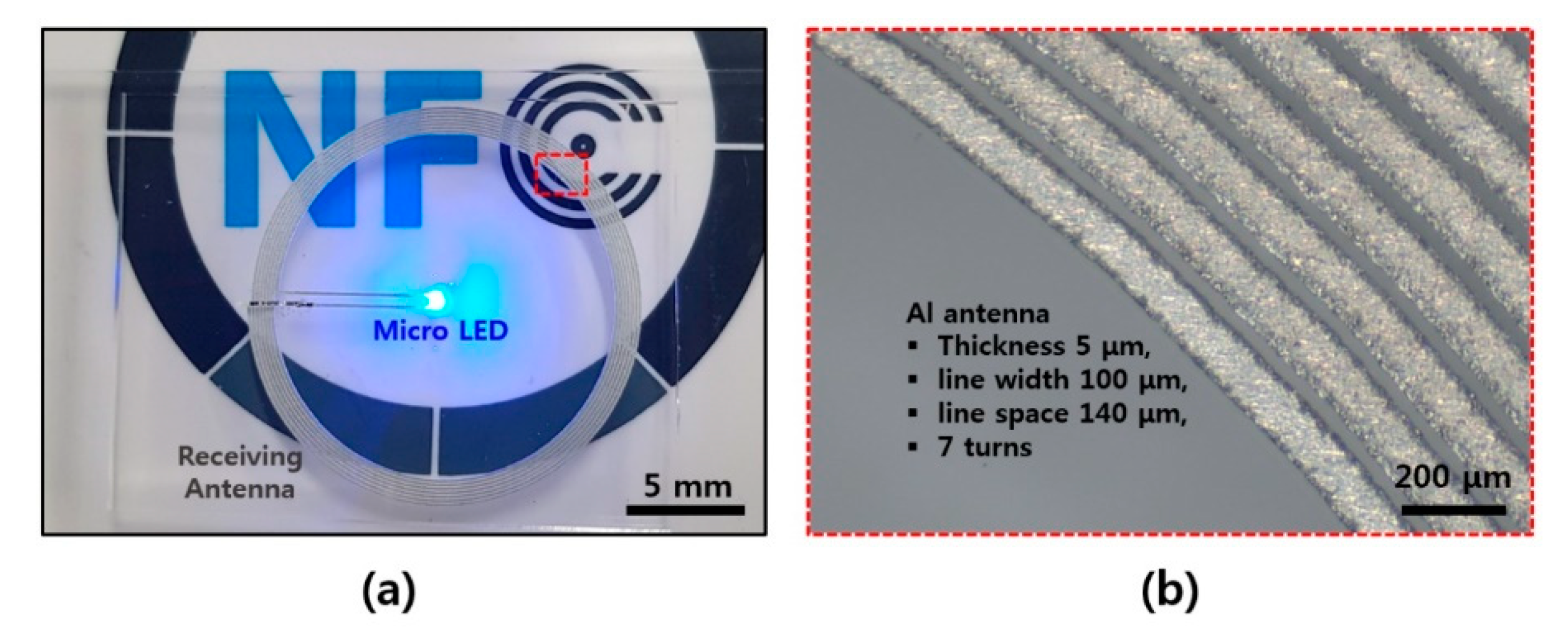 Coatings 10 00404 g002
