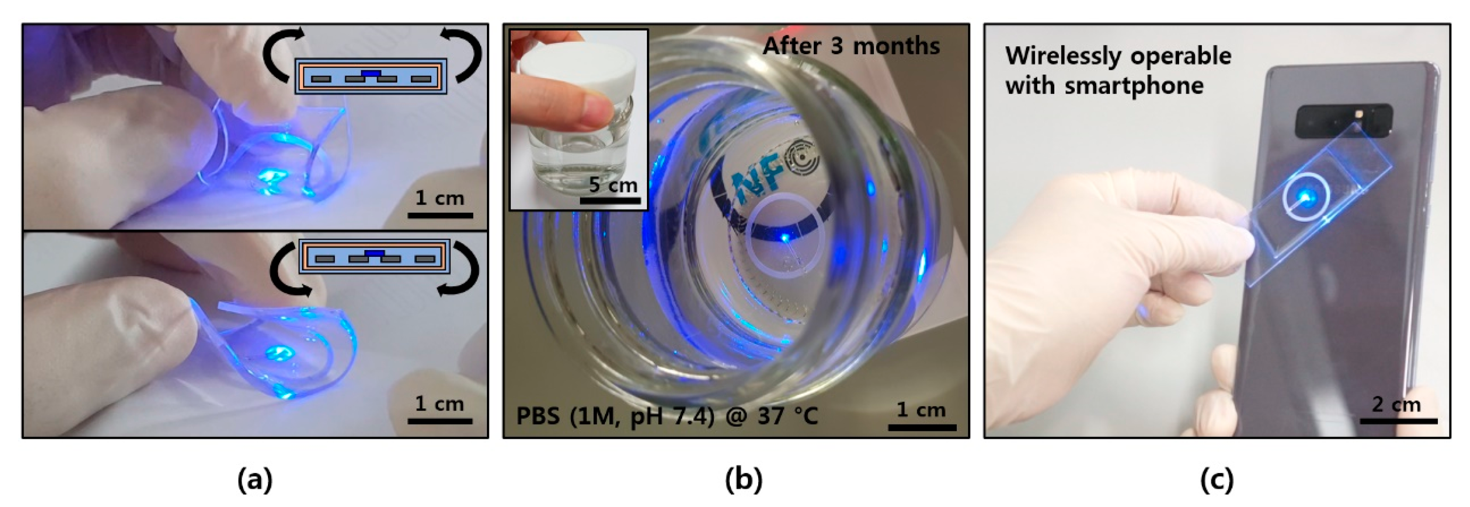 Coatings 10 00404 g005