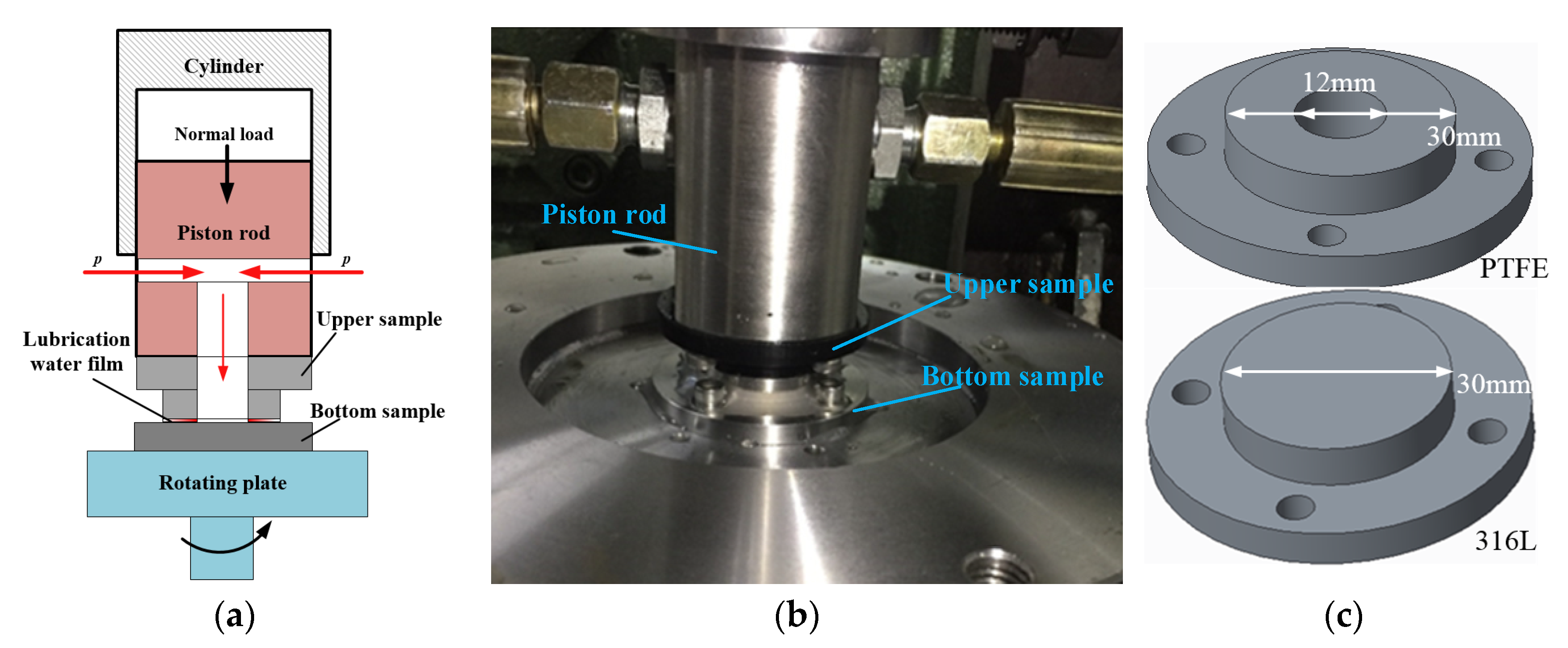 Coatings 10 00405 g002