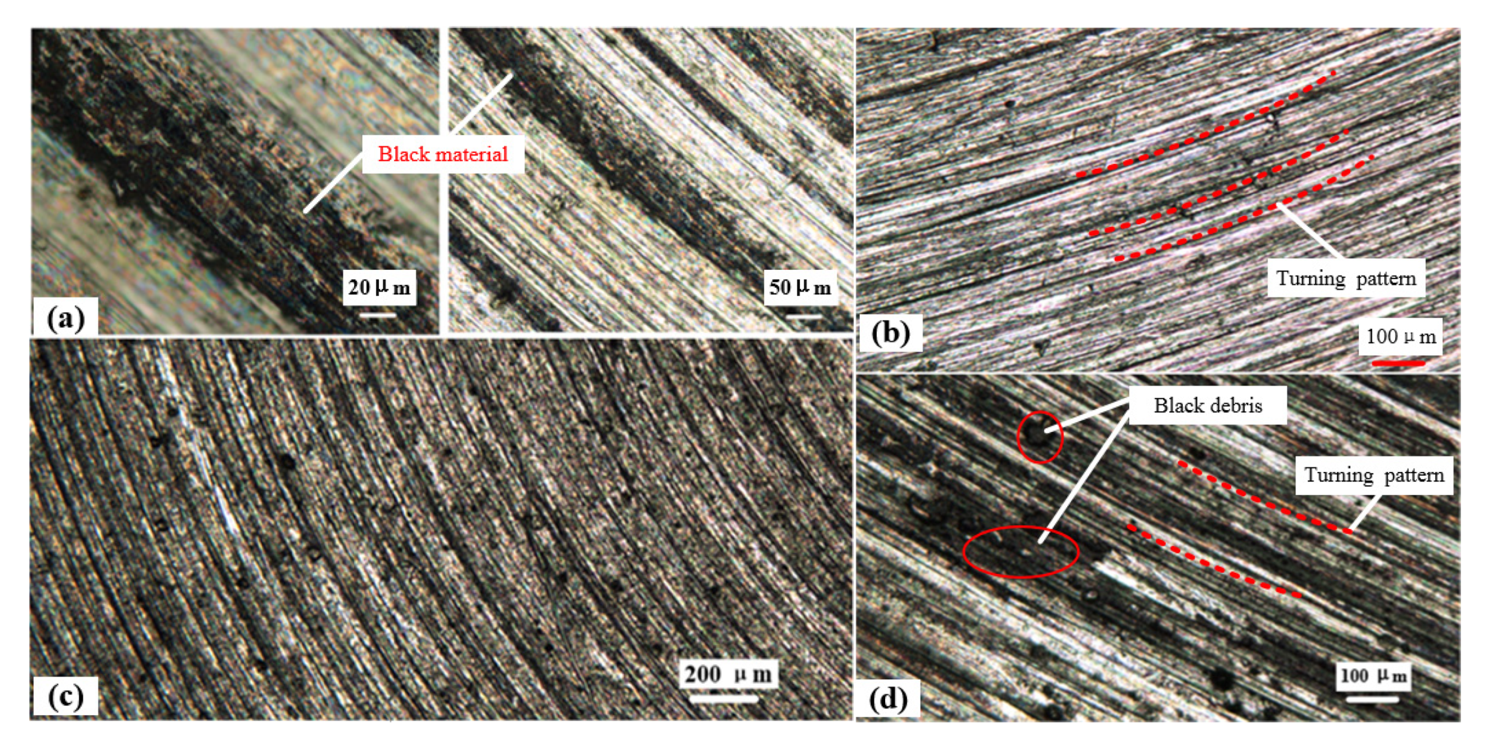 Coatings 10 00405 g005