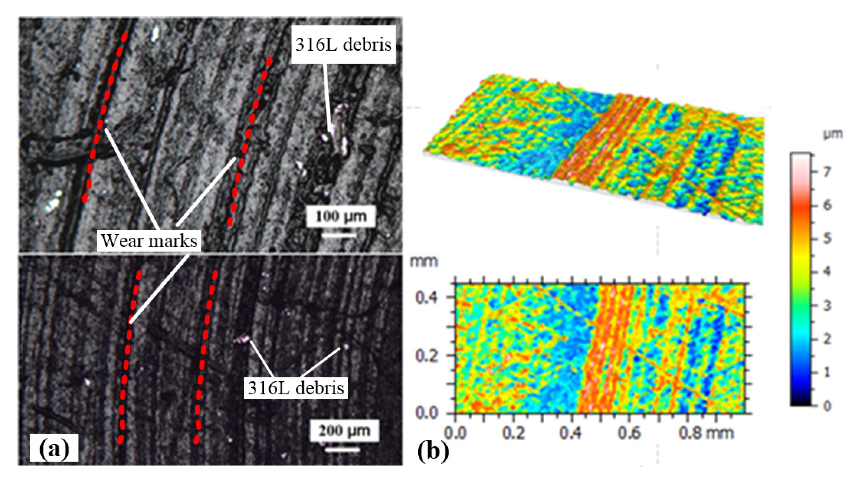 Coatings 10 00405 g006