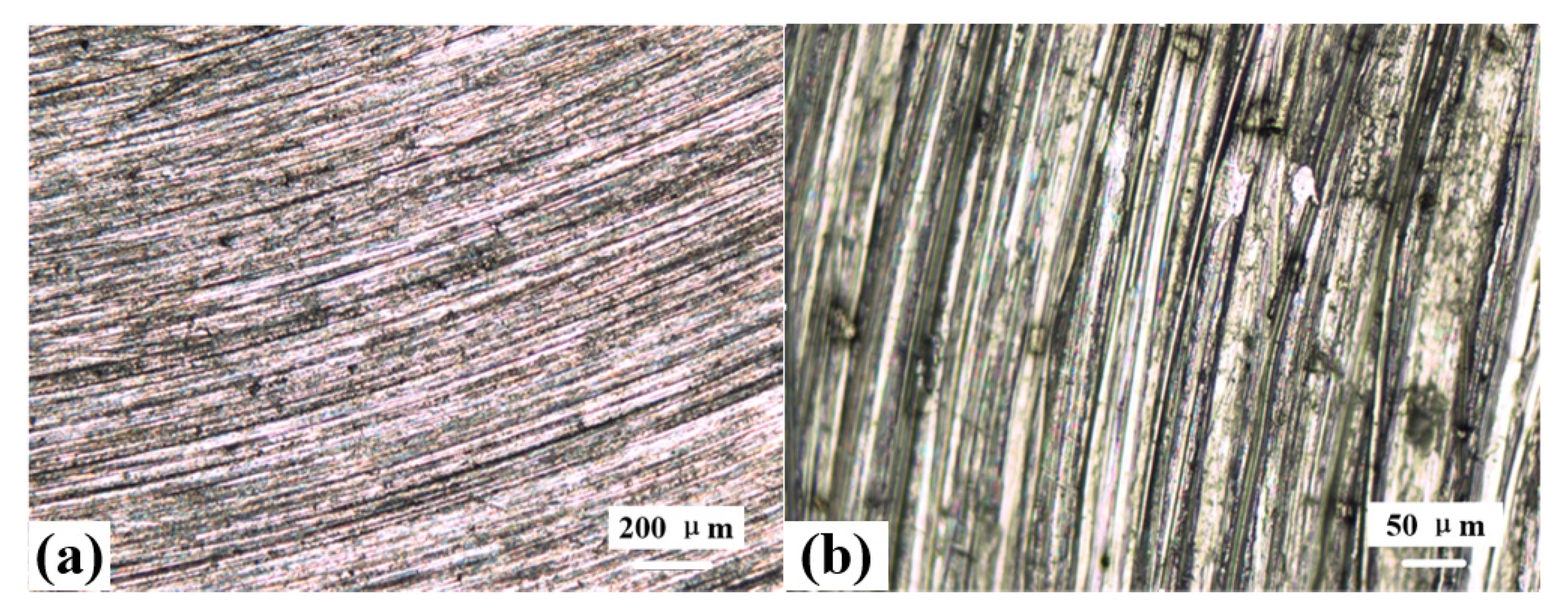 Coatings 10 00405 g007a