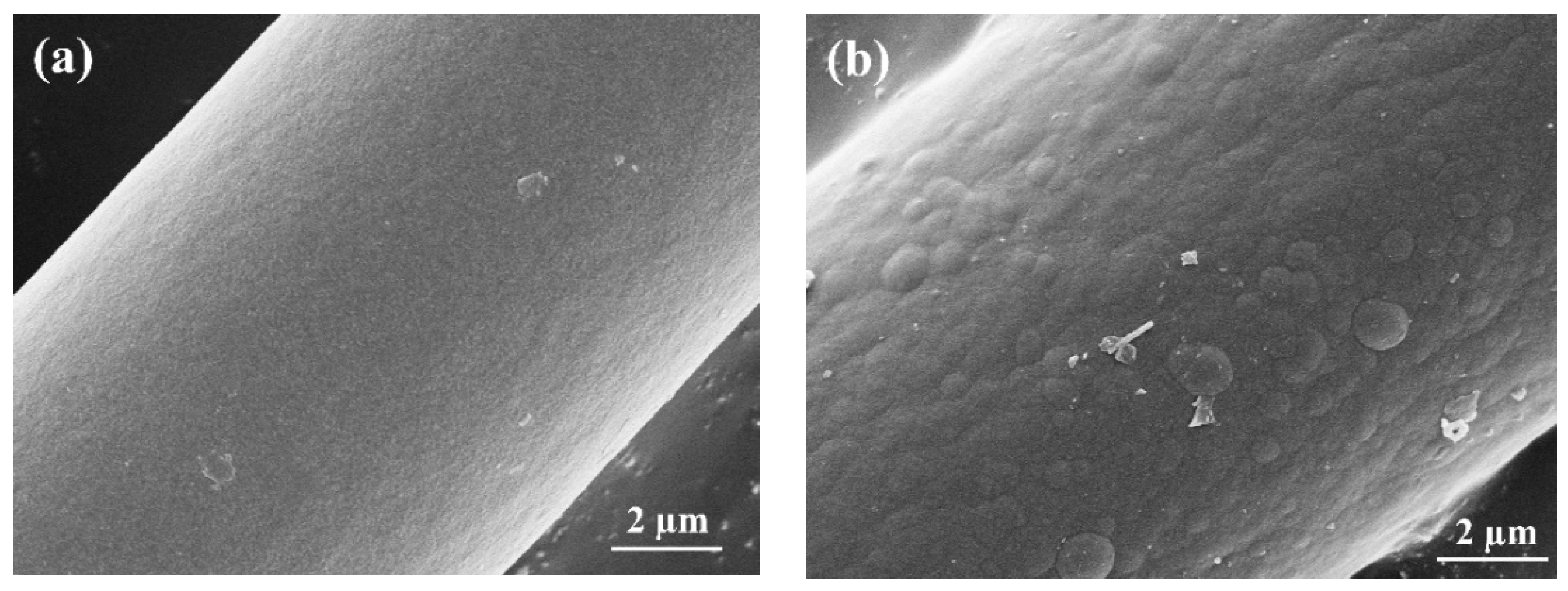 Coatings 10 00408 g002 Coatings 10 00408 g002