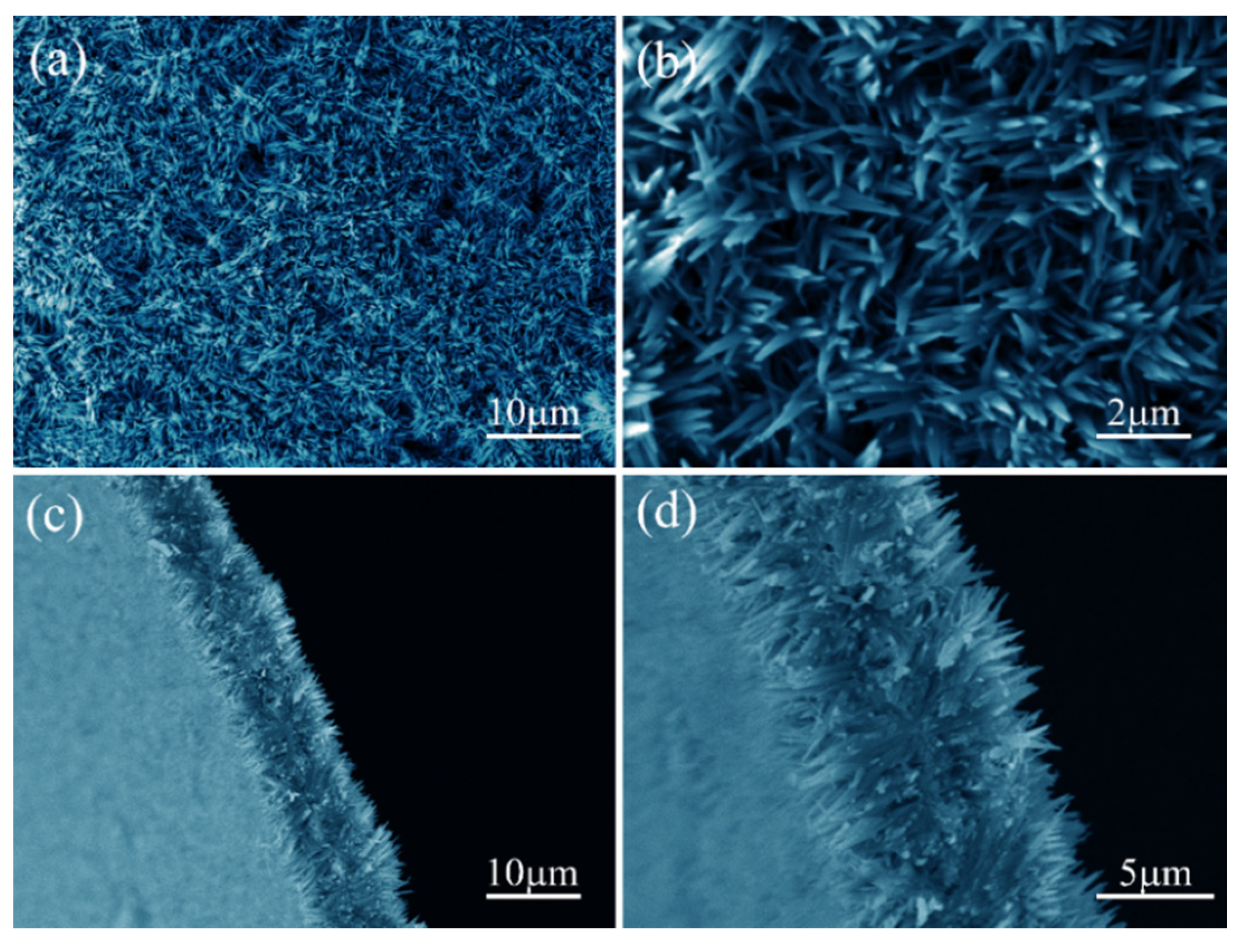 Coatings 10 00409 g001 Coatings 10 00409 g001