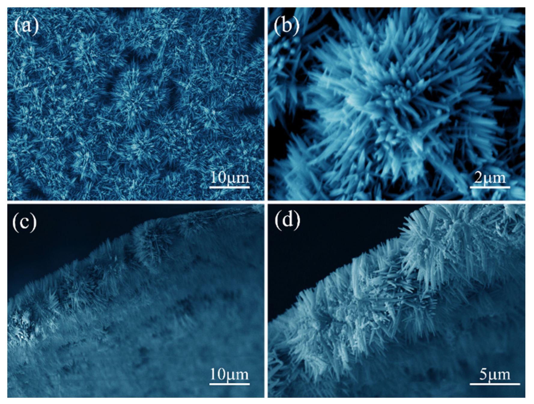 Coatings 10 00409 g002 Coatings 10 00409 g002