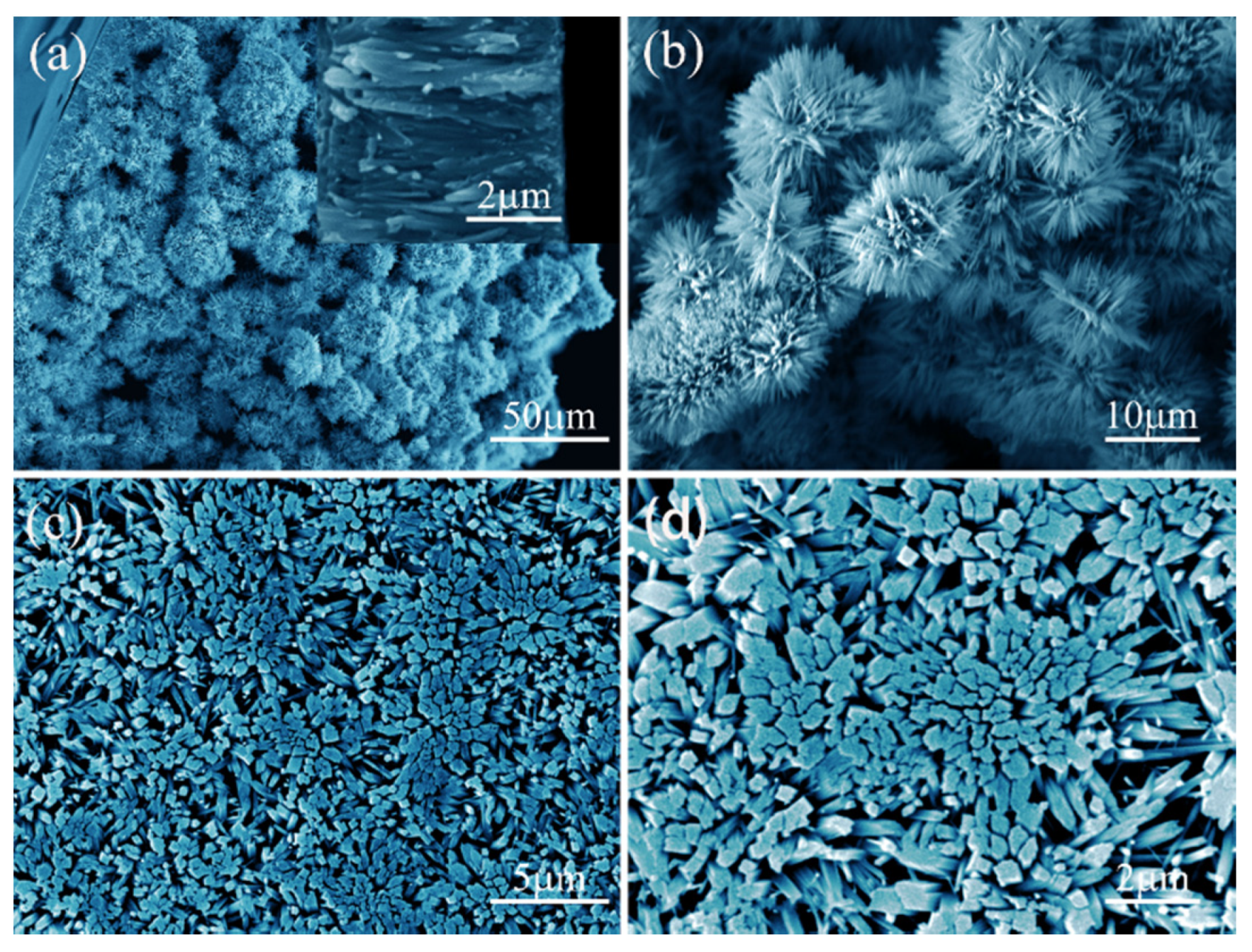 Coatings 10 00409 g003 Coatings 10 00409 g003