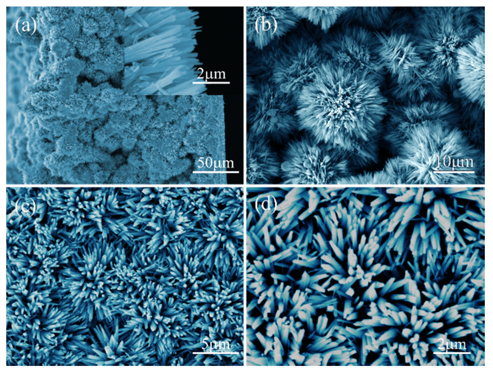 Coatings 10 00409 g004 Coatings 10 00409 g004