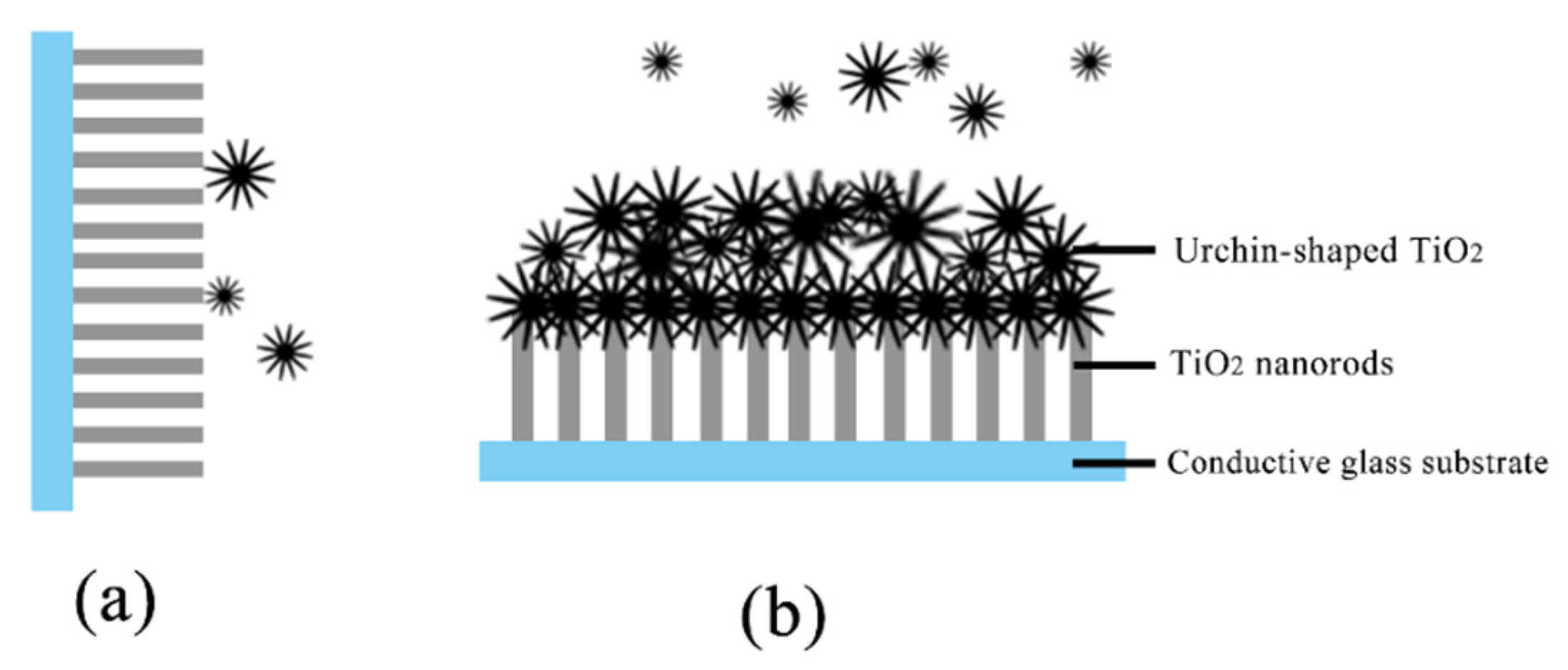 Coatings 10 00409 g005 Coatings 10 00409 g005