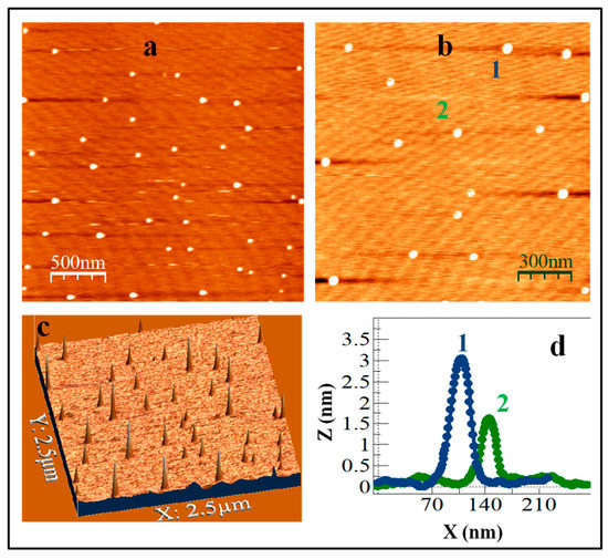Coatings Free FullText Fabrication and Characterization of
