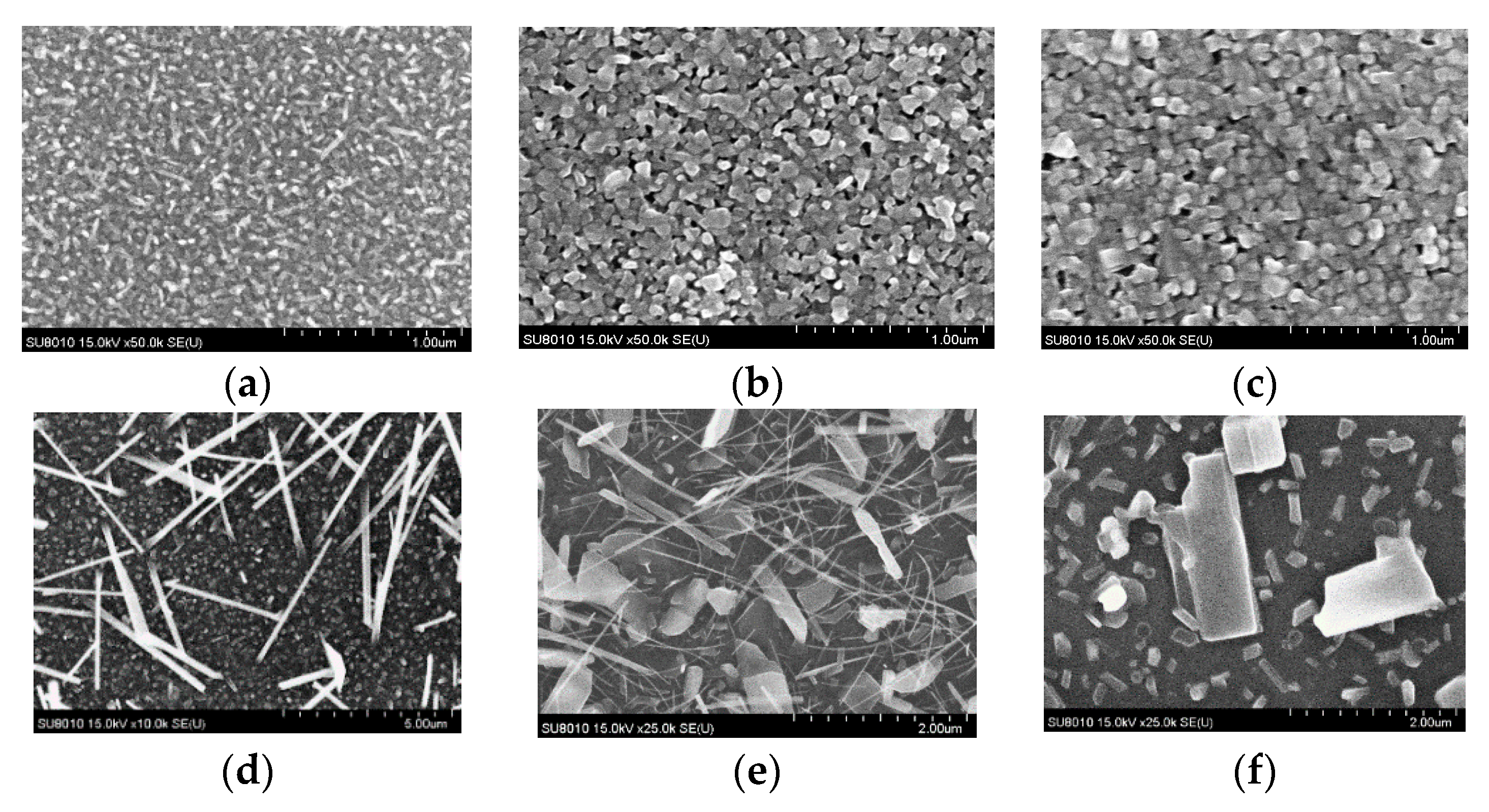 Coatings 10 00412 g003