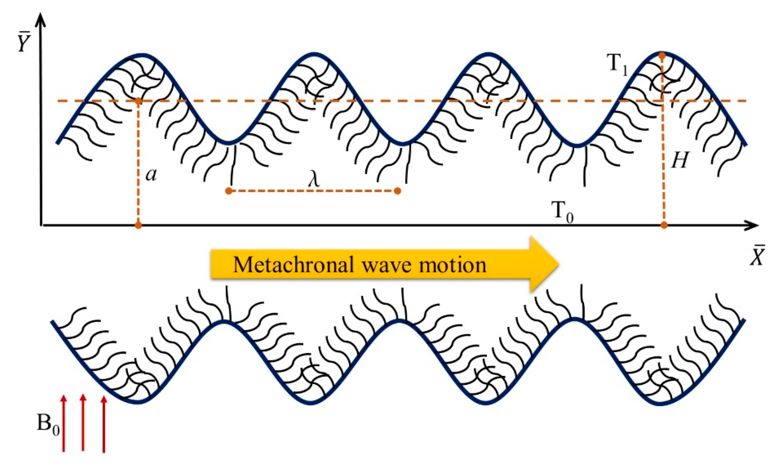 Coatings 10 00414 g001 Coatings 10 00414 g001