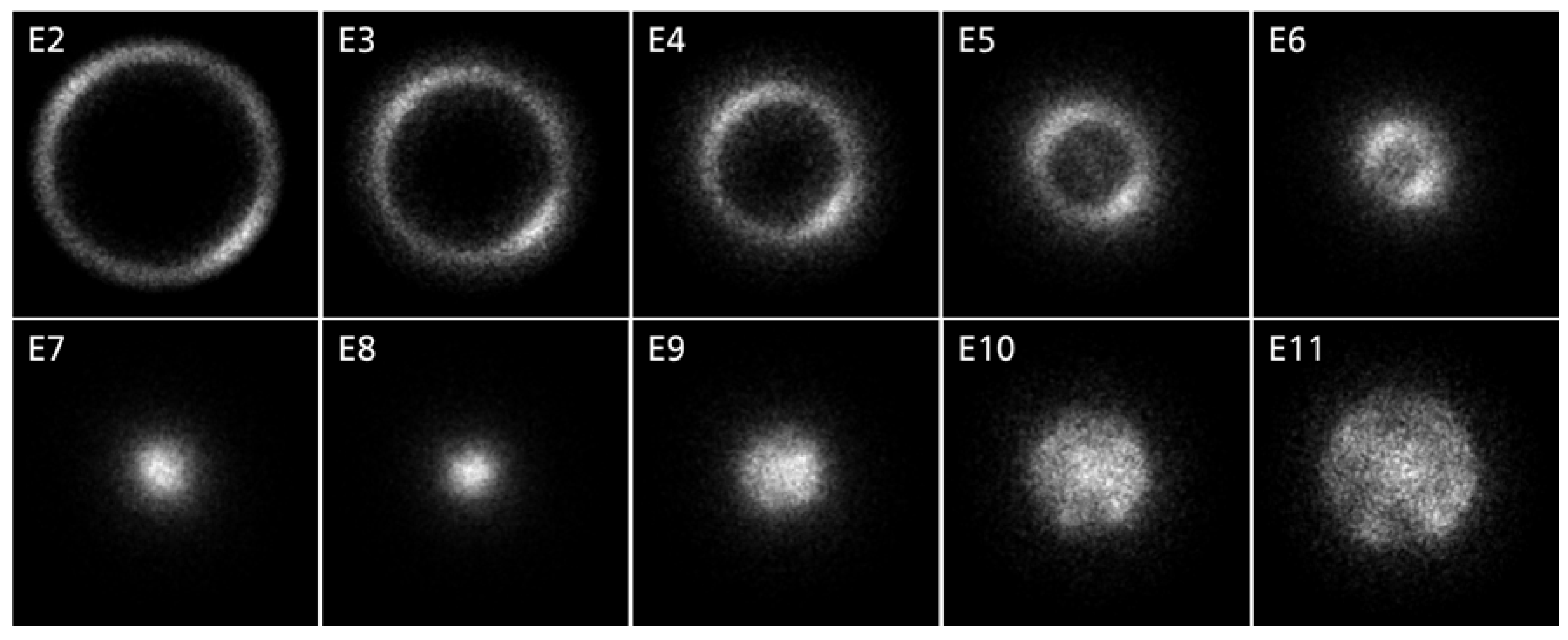 Coatings 10 00416 g010 Coatings 10 00416 g010