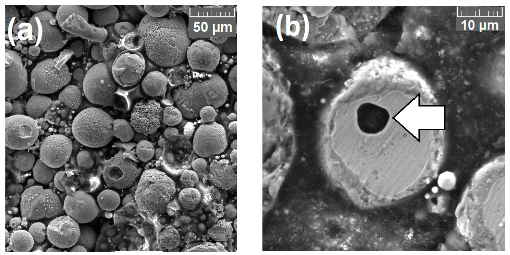 Coatings 10 00417 g005