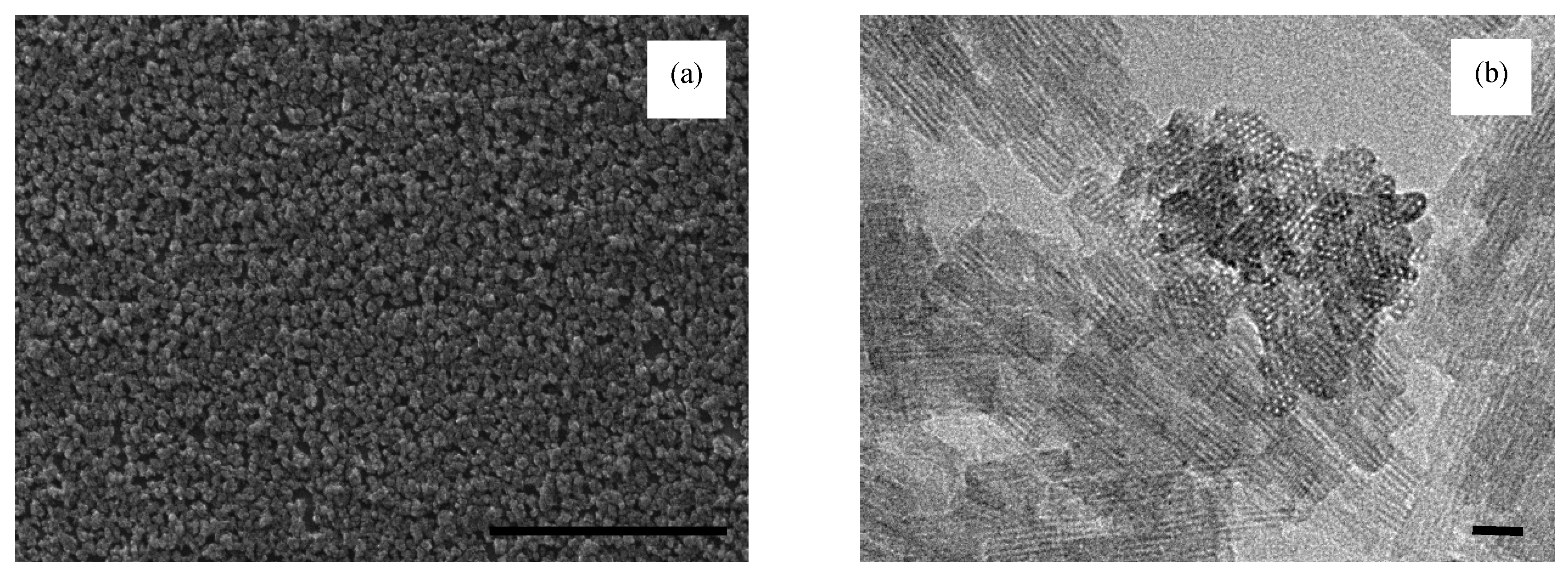 Coatings 10 00423 g002 Coatings 10 00423 g002