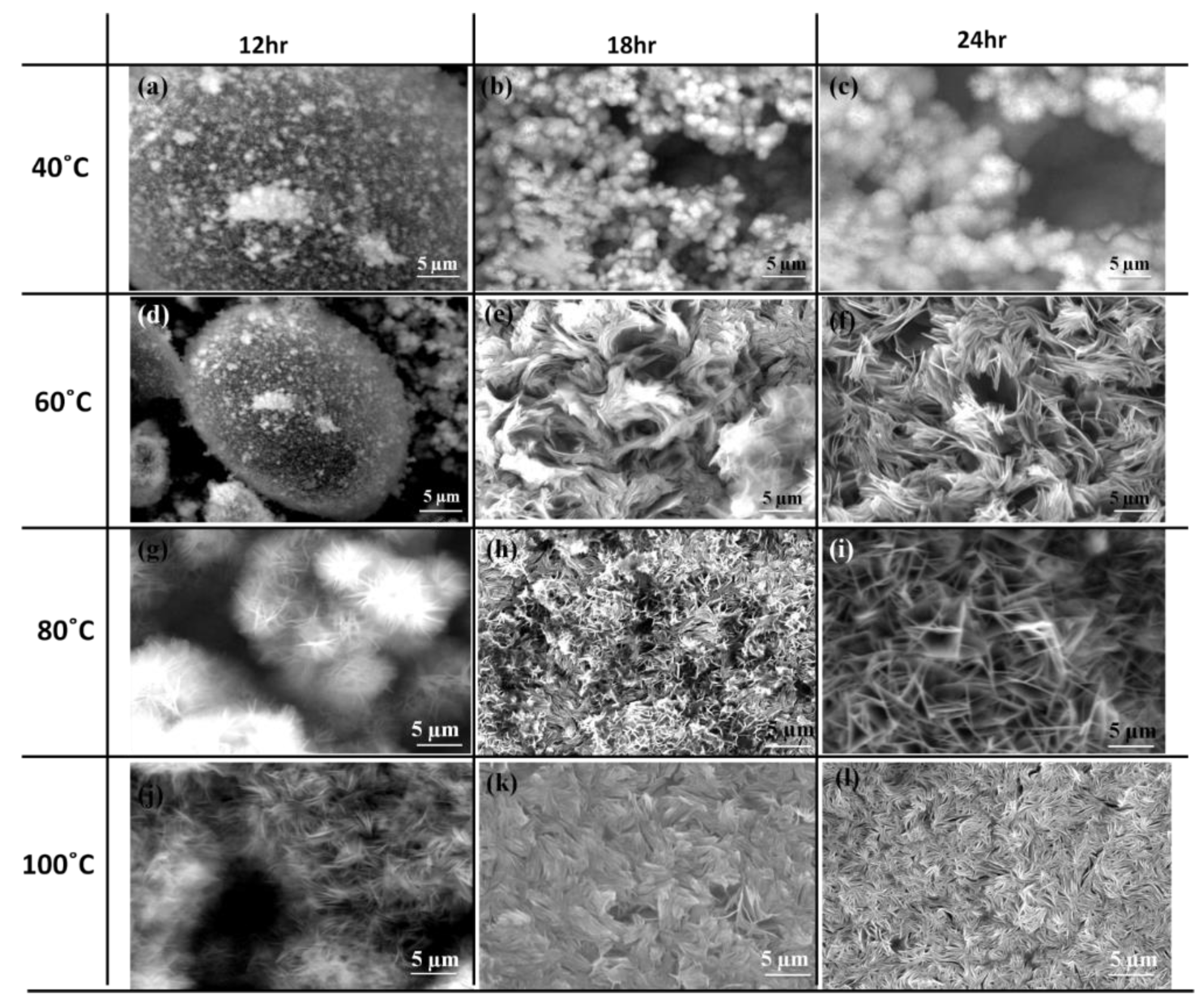 Coatings 10 00428 g002