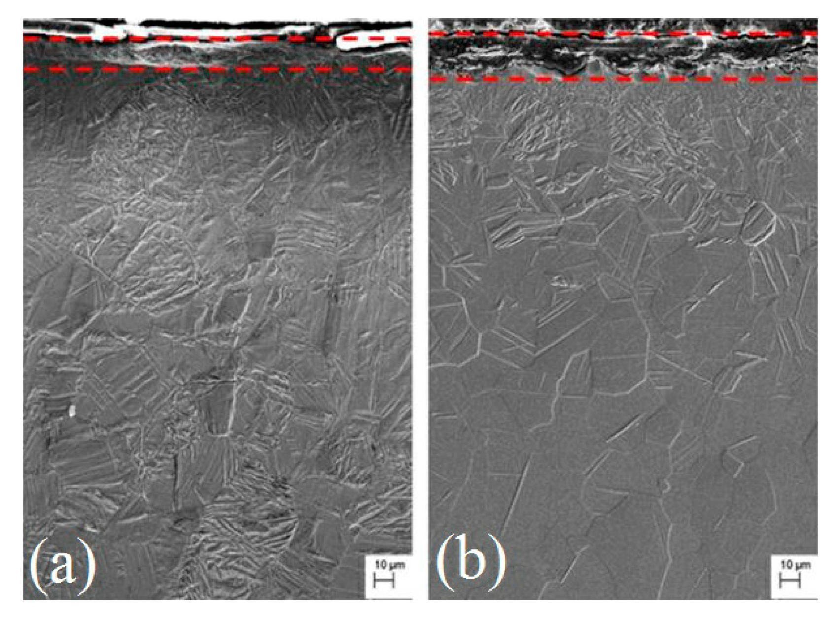 Coatings 10 00430 g002 Coatings 10 00430 g002