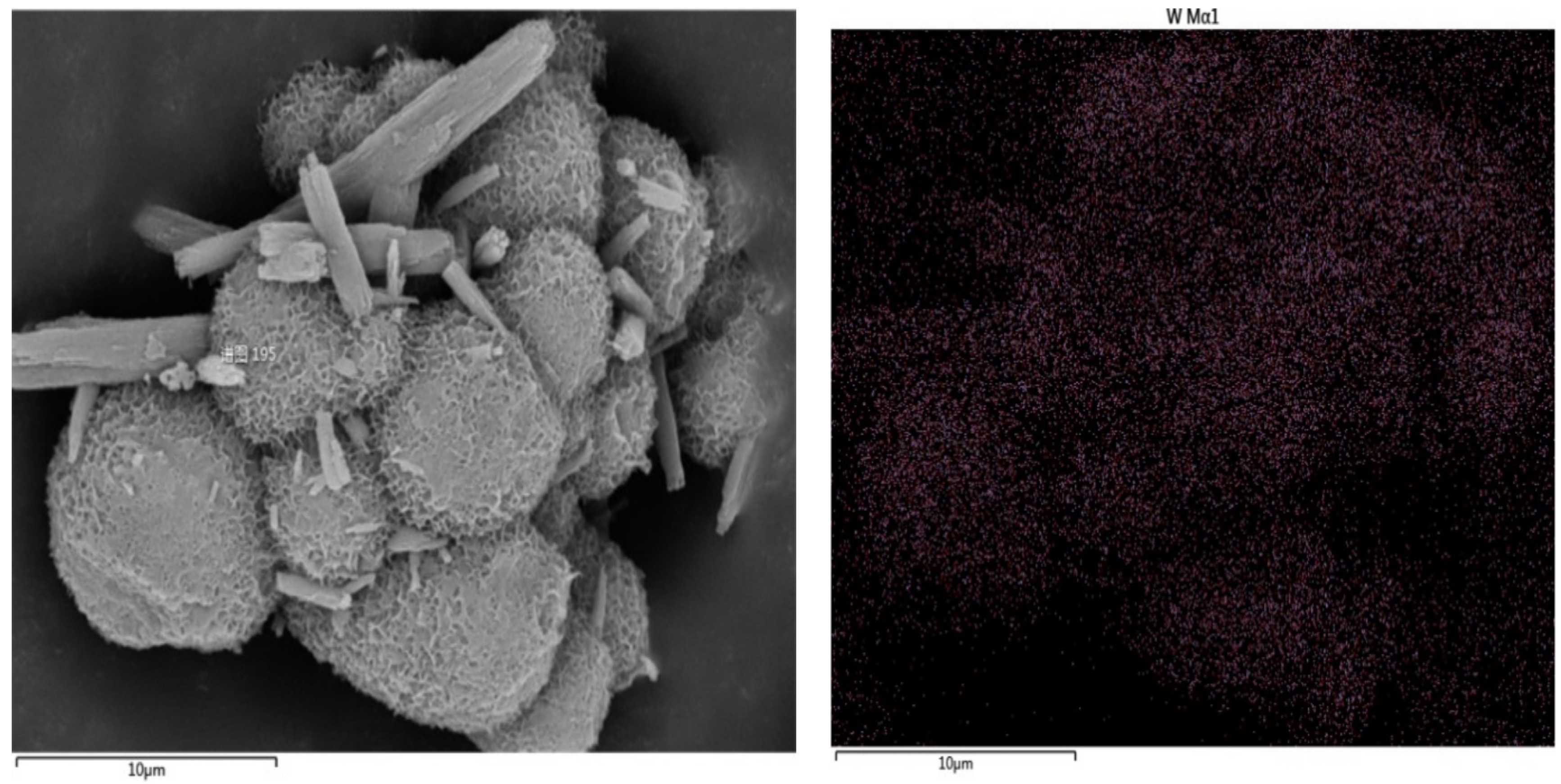 Coatings 10 00431 g007 Coatings 10 00431 g007