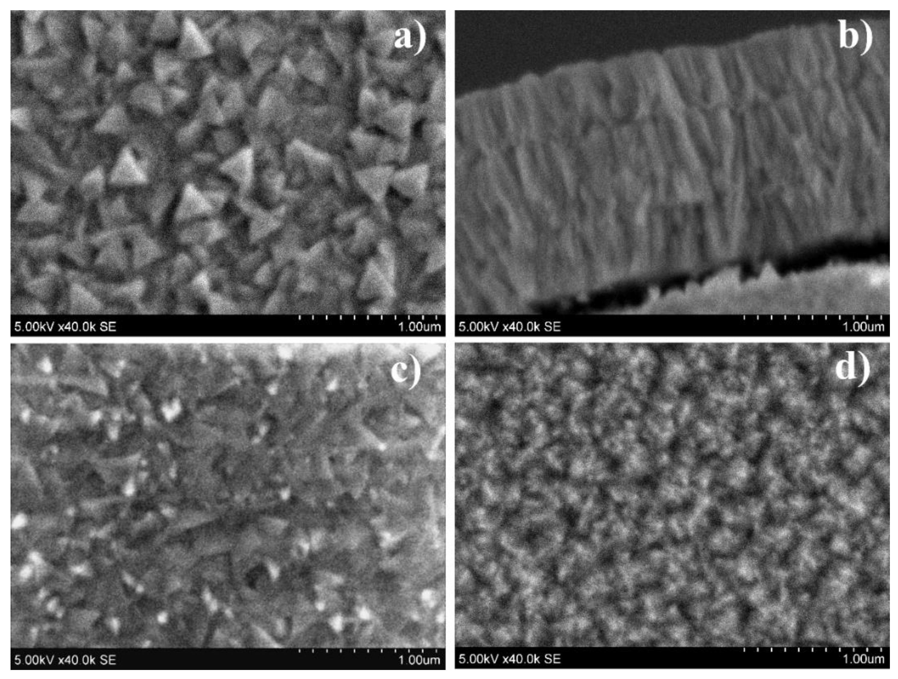 Coatings 10 00432 g003 Coatings 10 00432 g003