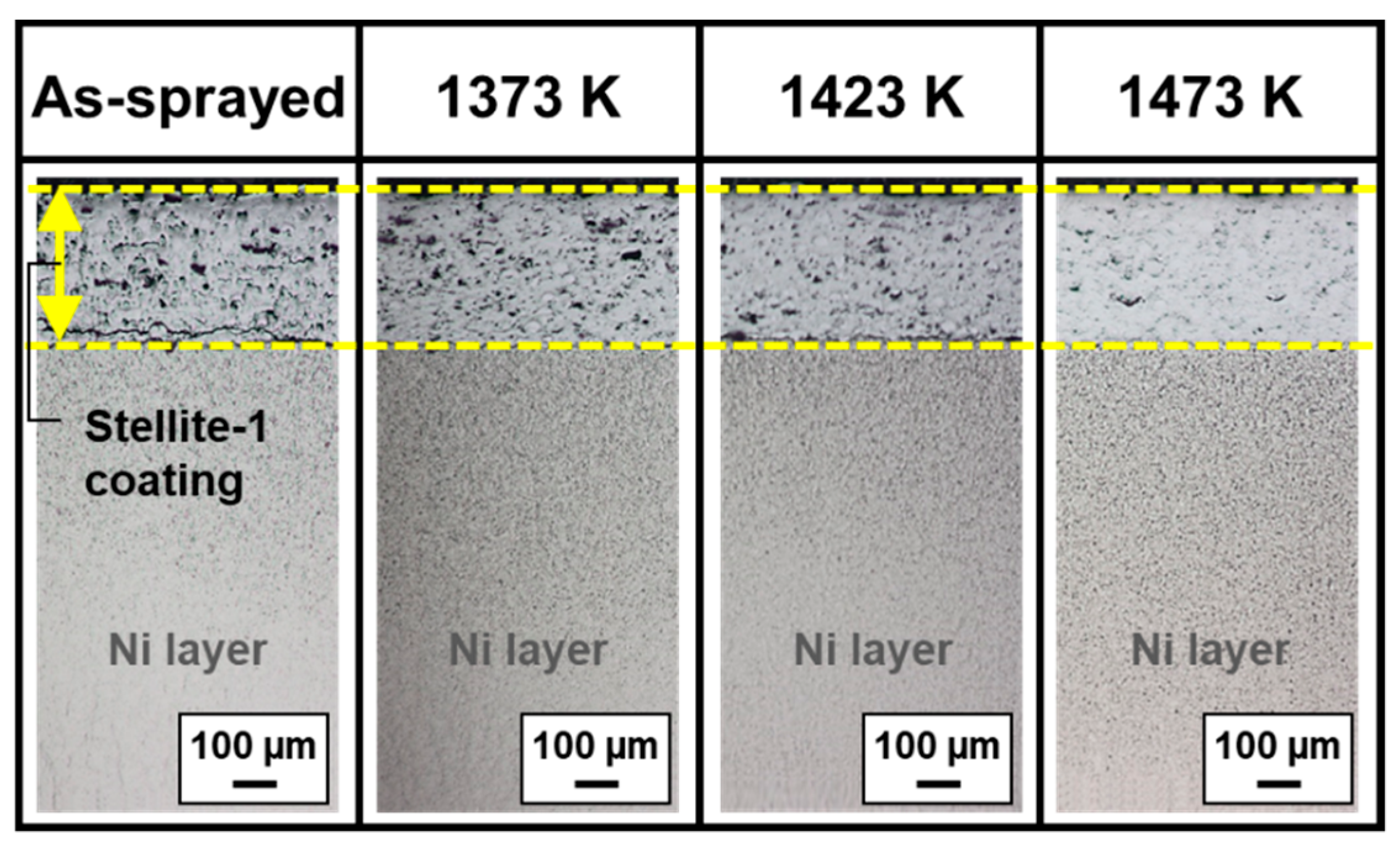 Coatings 10 00433 g006