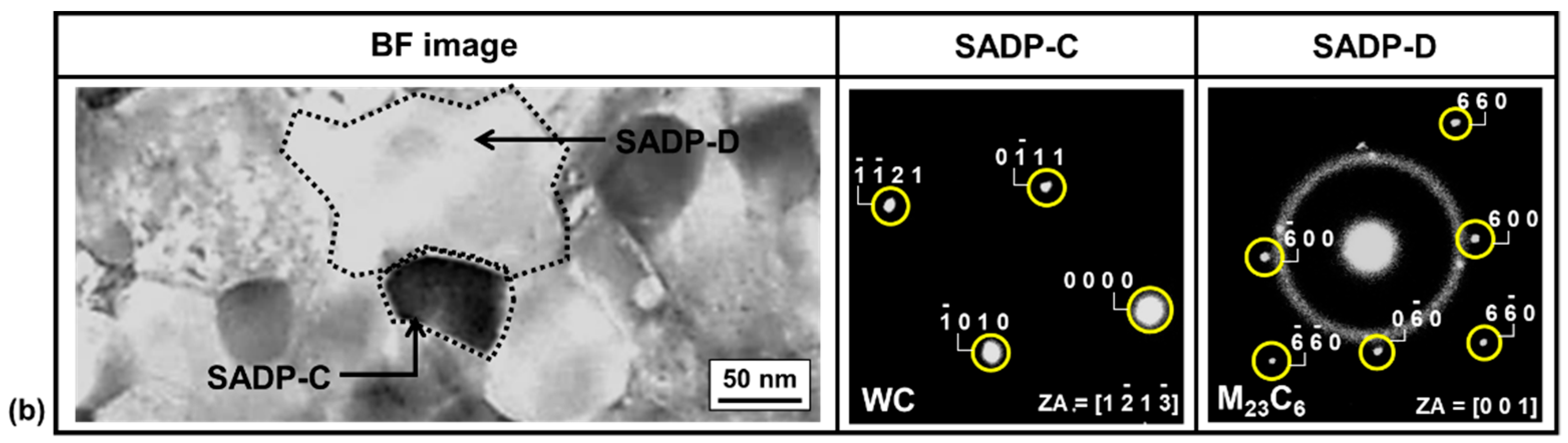 Coatings 10 00433 g012b