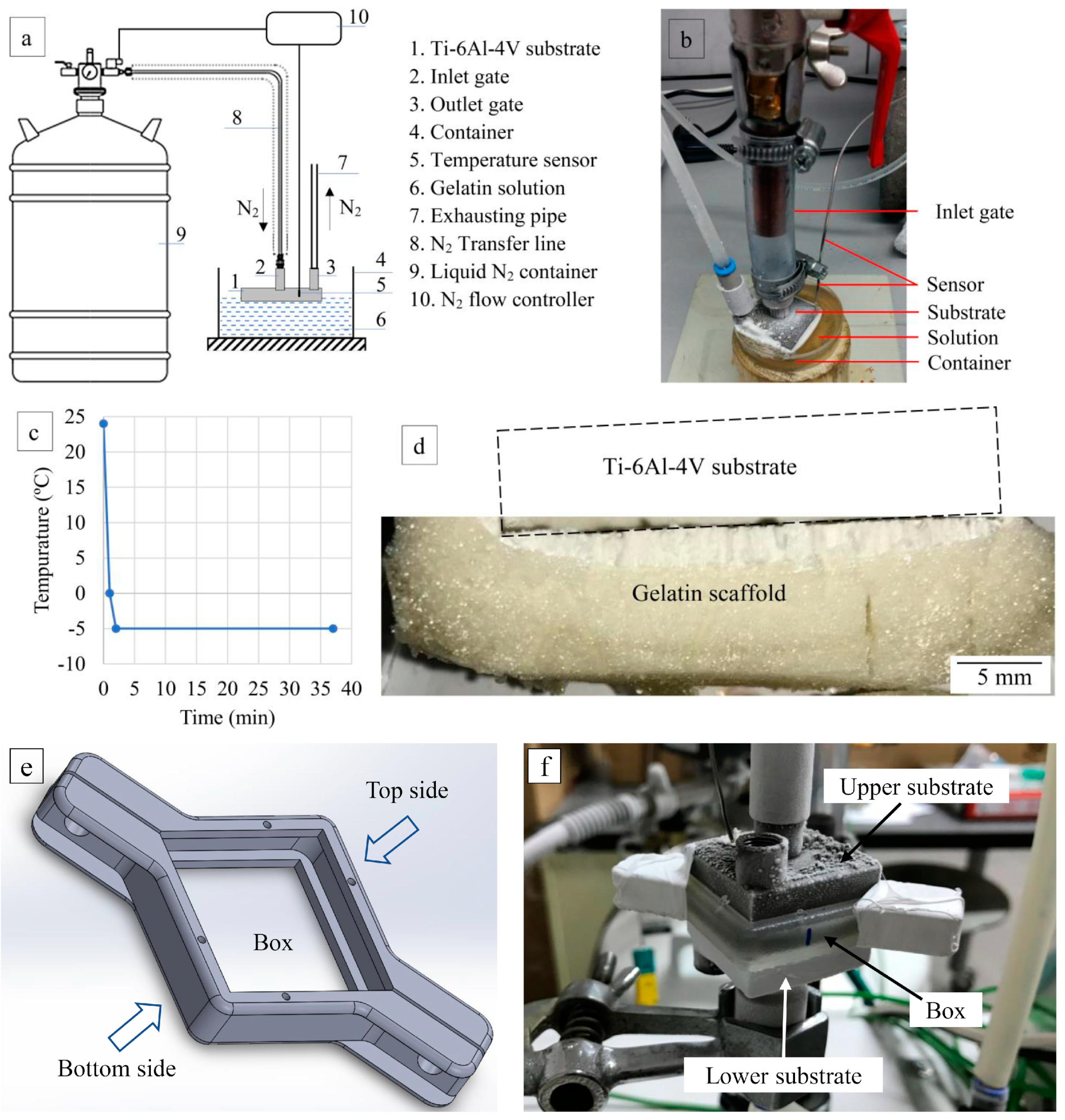Coatings 10 00434 g002 Coatings 10 00434 g002