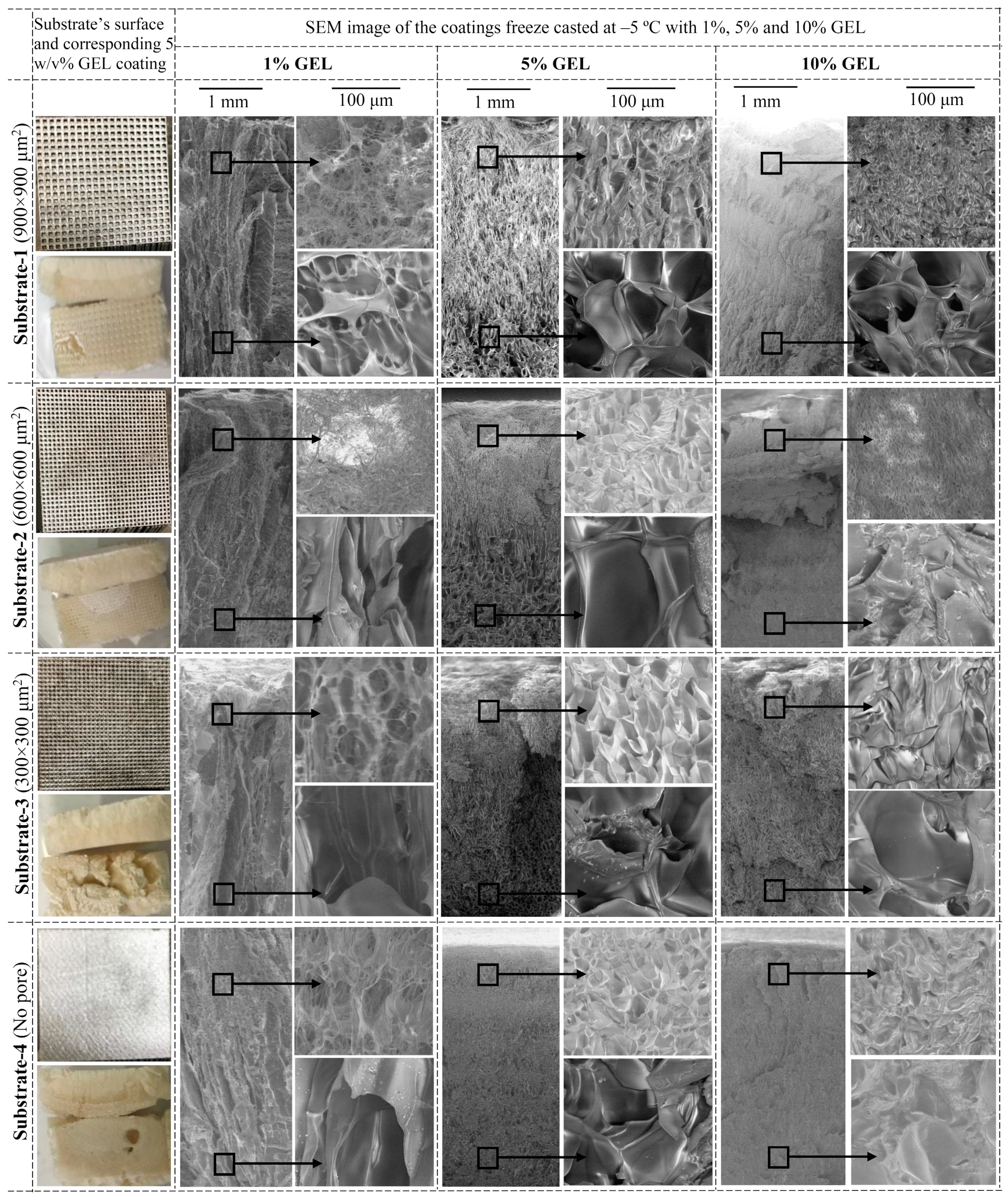Coatings 10 00434 g003 Coatings 10 00434 g003