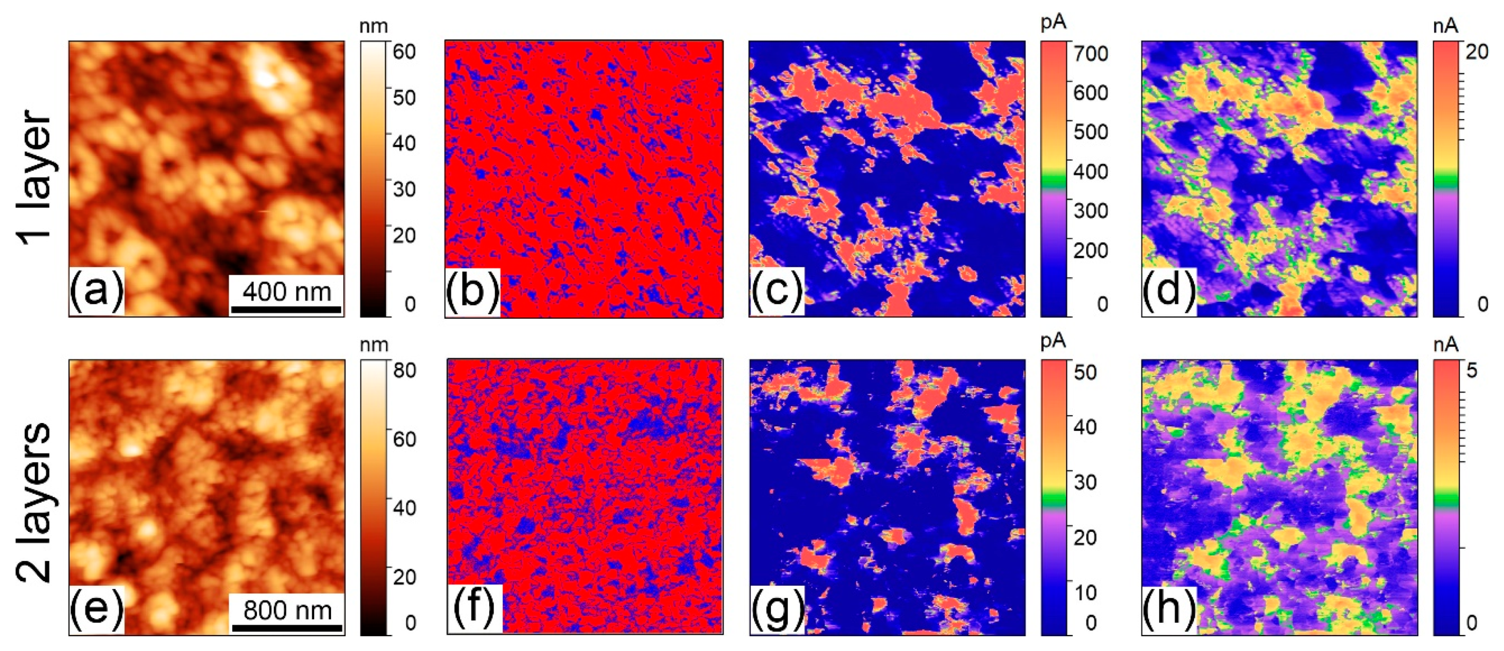 Coatings 10 00438 g004 Coatings 10 00438 g004