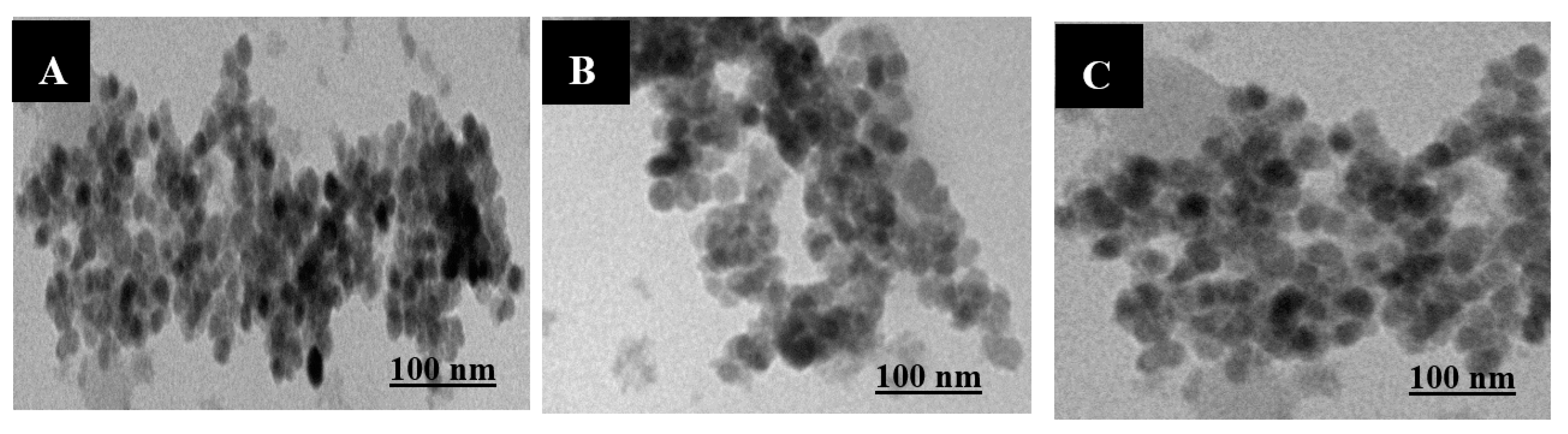 Coatings 10 00446 g001 Coatings 10 00446 g001