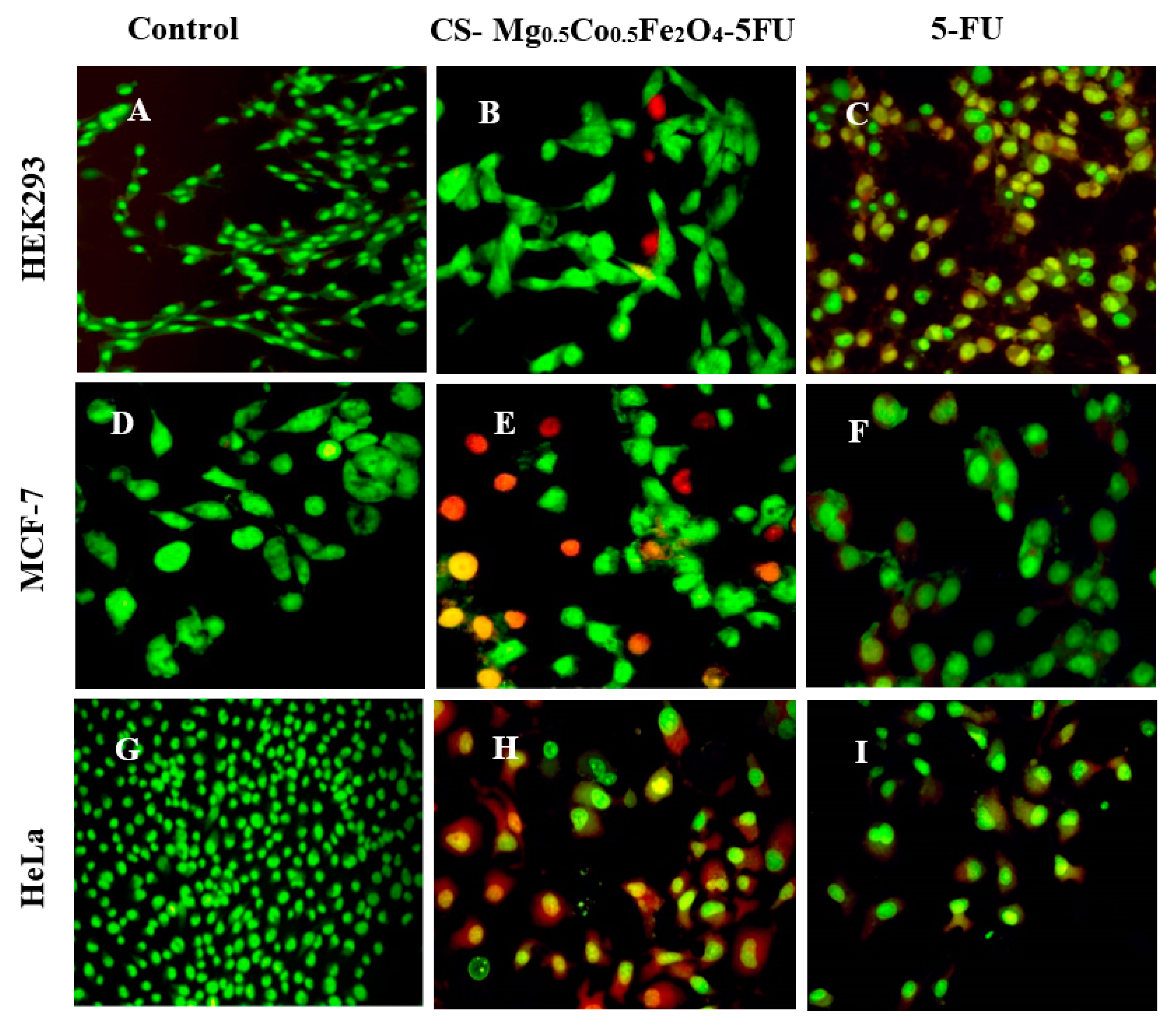 Coatings 10 00446 g006 Coatings 10 00446 g006