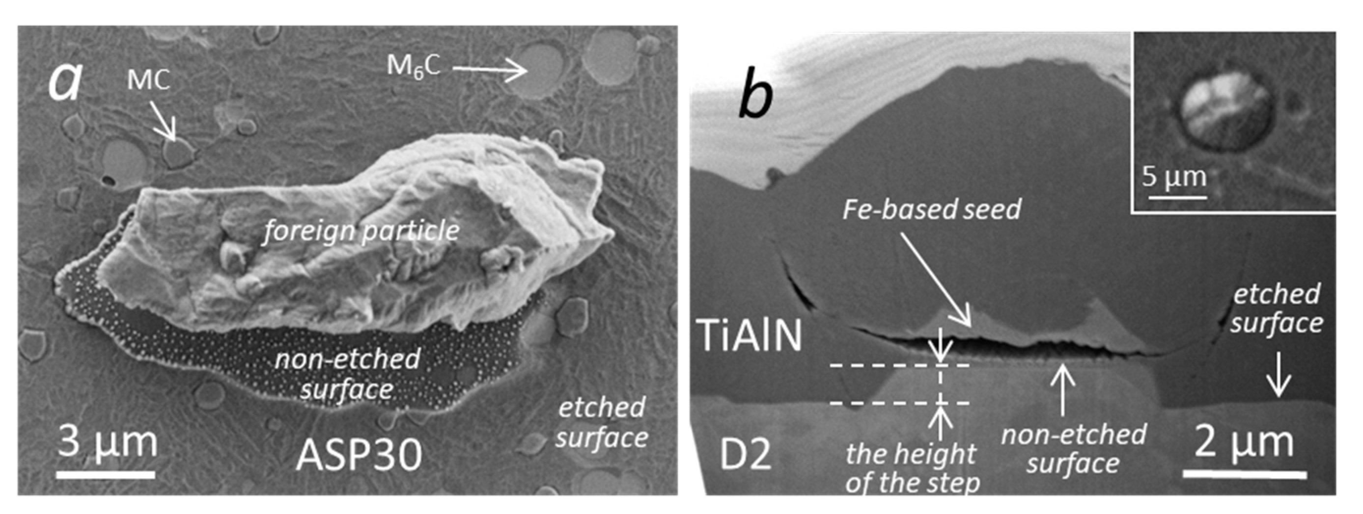 Coatings 10 00447 g007 Coatings 10 00447 g007