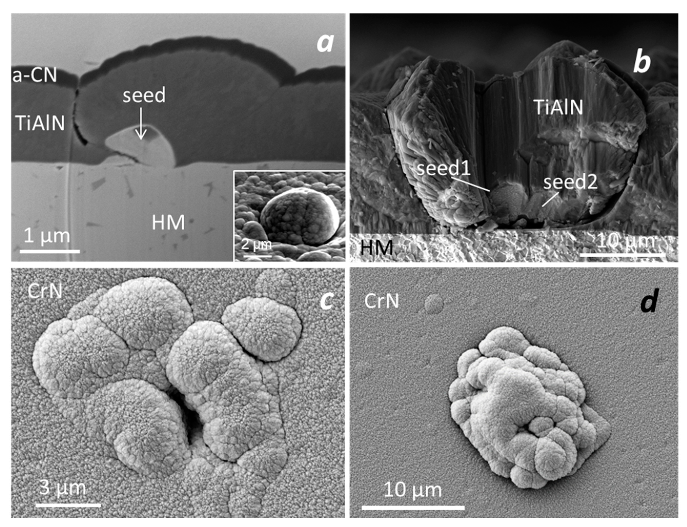 Coatings 10 00447 g011 Coatings 10 00447 g011