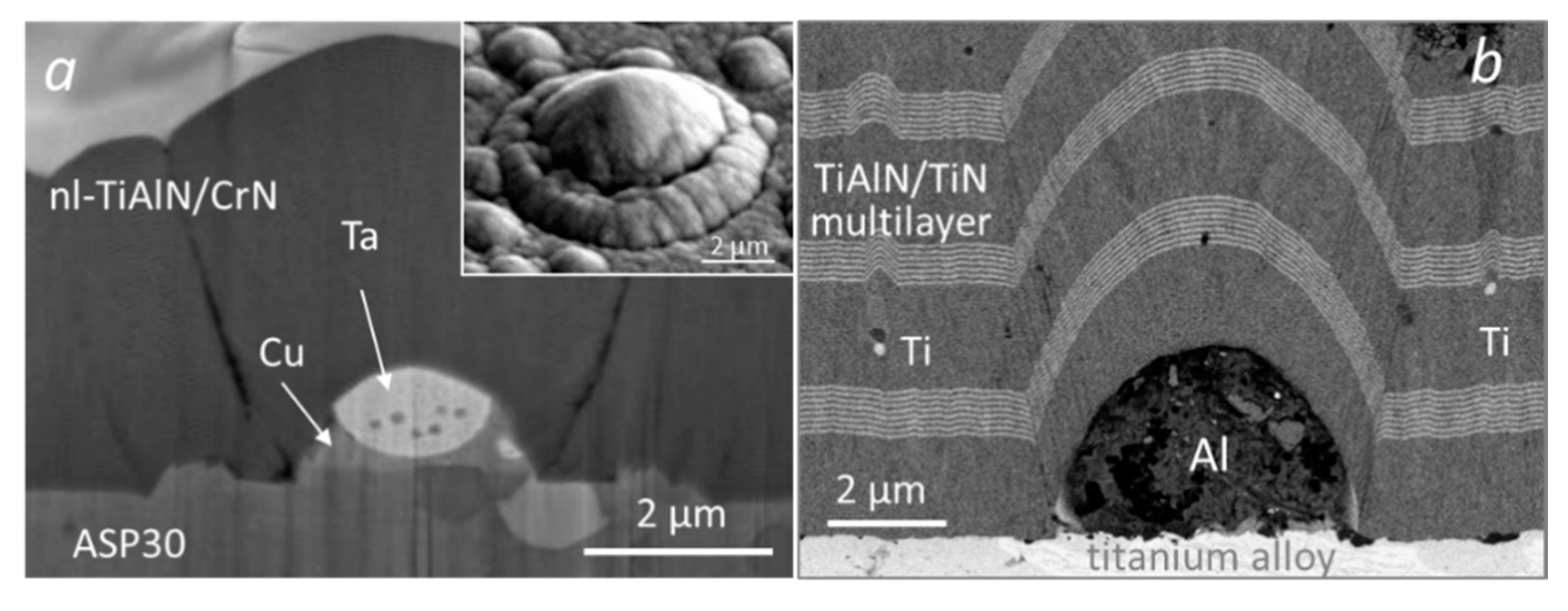 Coatings 10 00447 g025 Coatings 10 00447 g025