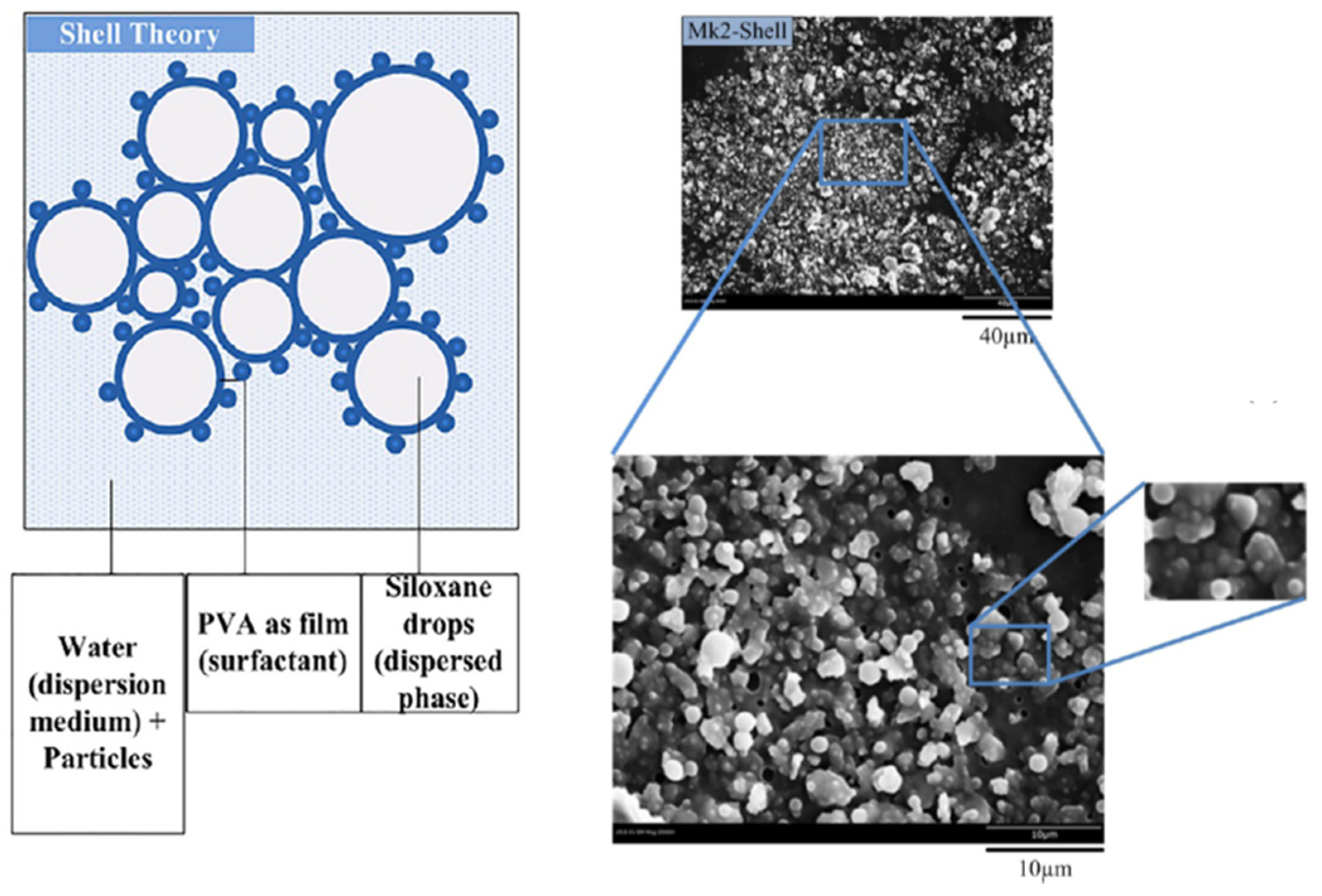 Coatings 10 00449 g006
