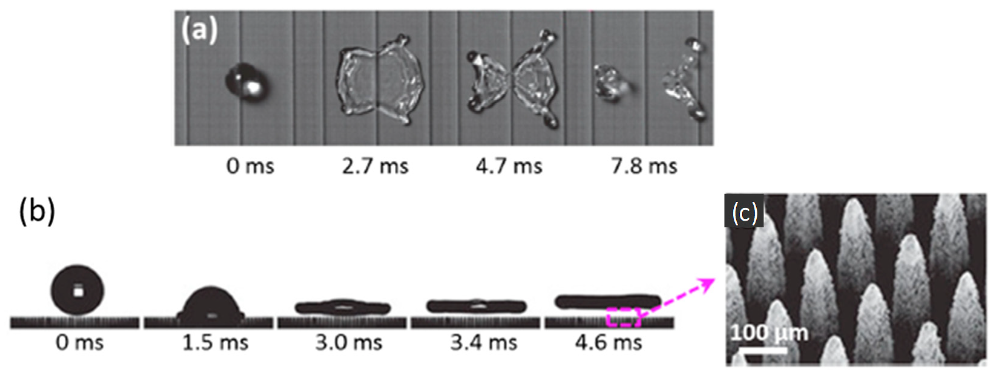 Coatings 10 00449 g012