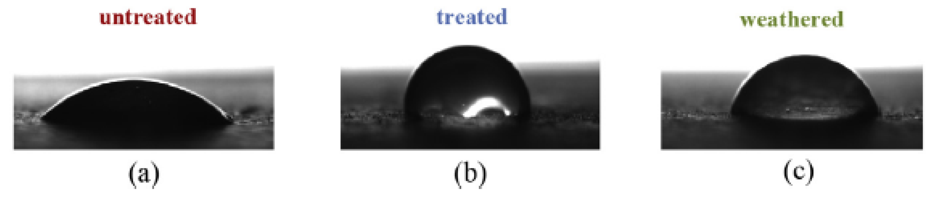 Coatings 10 00449 g017