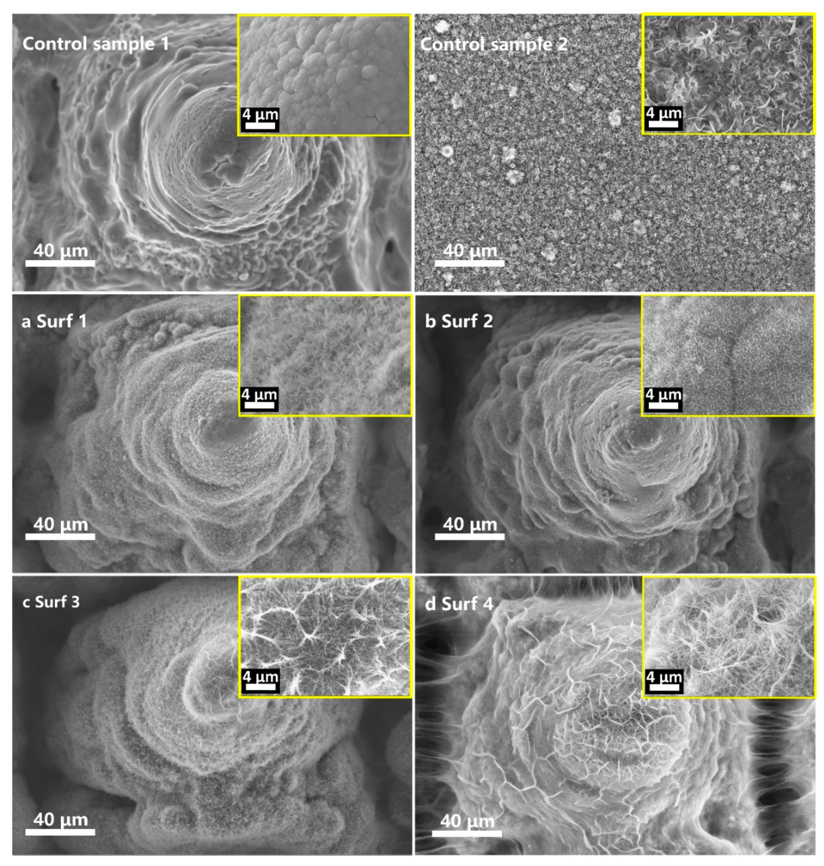 Coatings 10 00450 g004