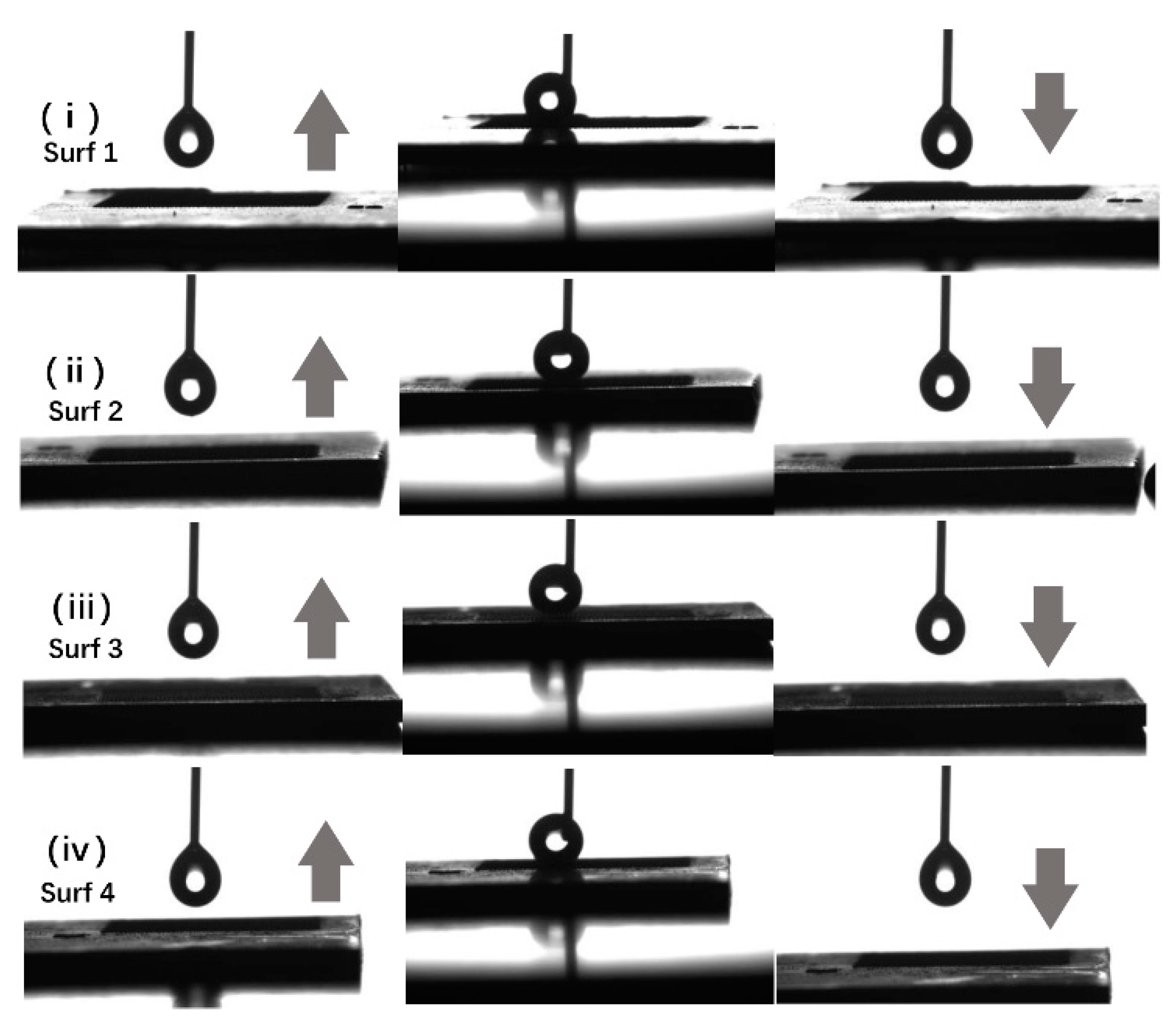 Coatings 10 00450 g005