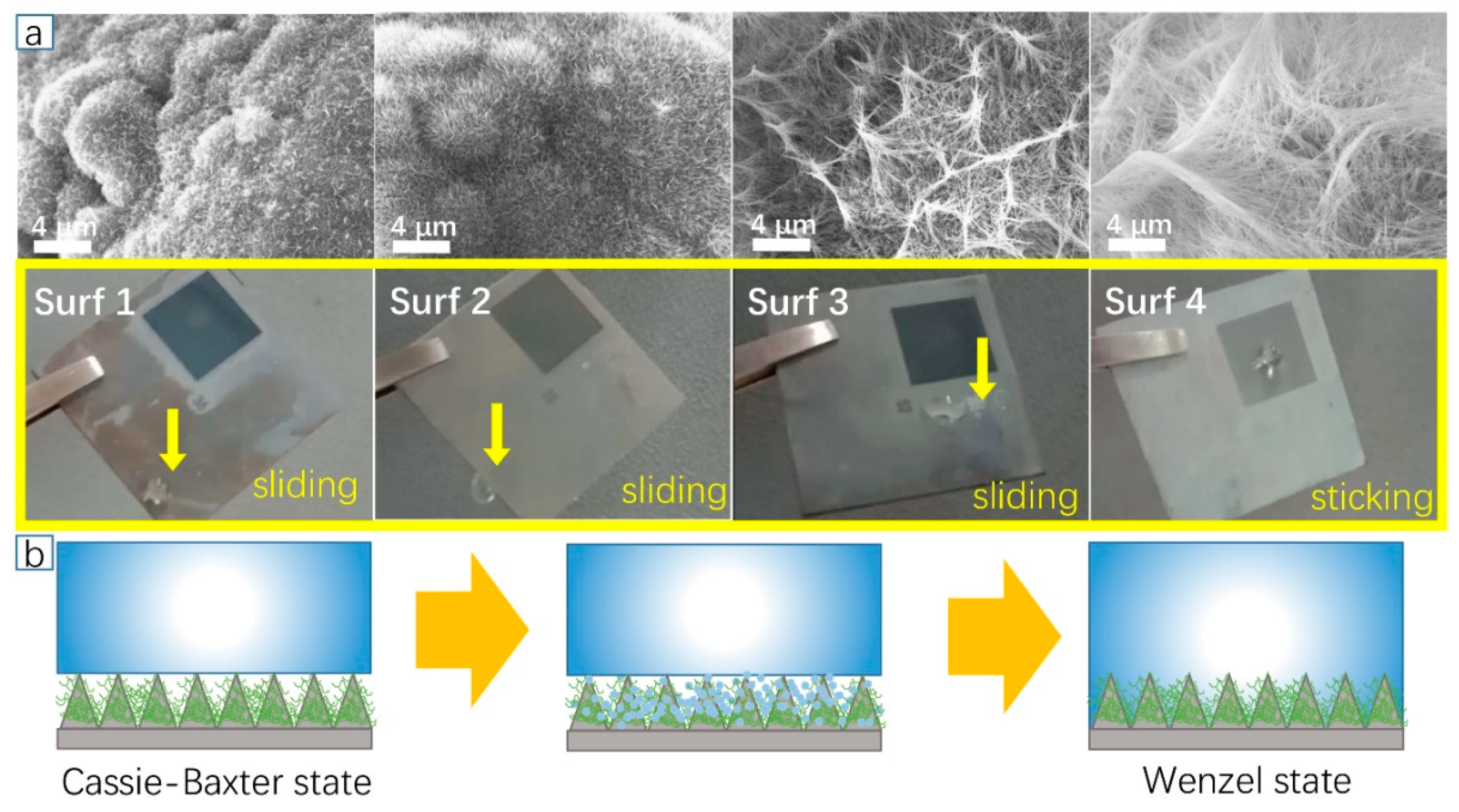 Coatings 10 00450 g007