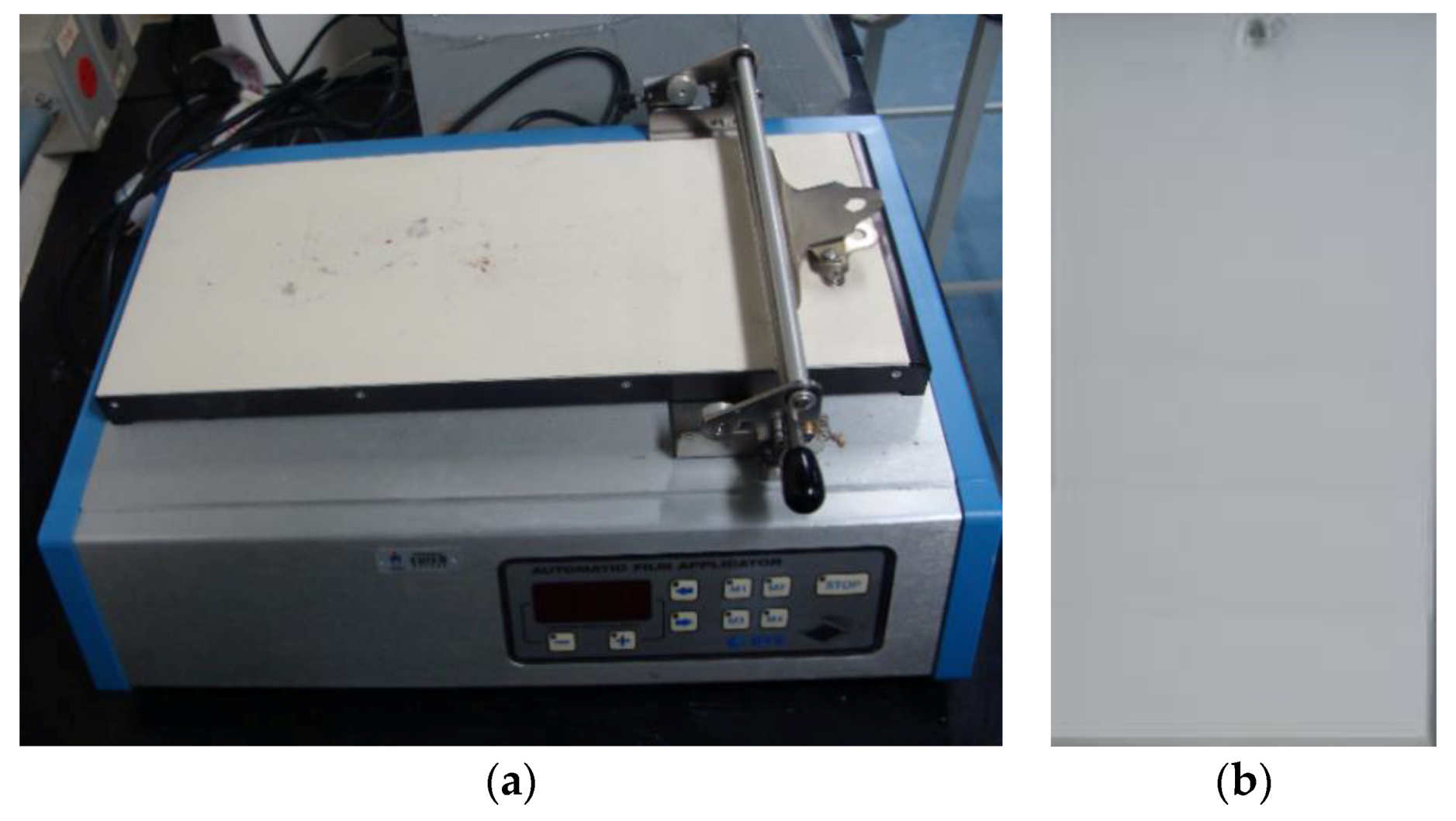 Coatings 10 00452 g001