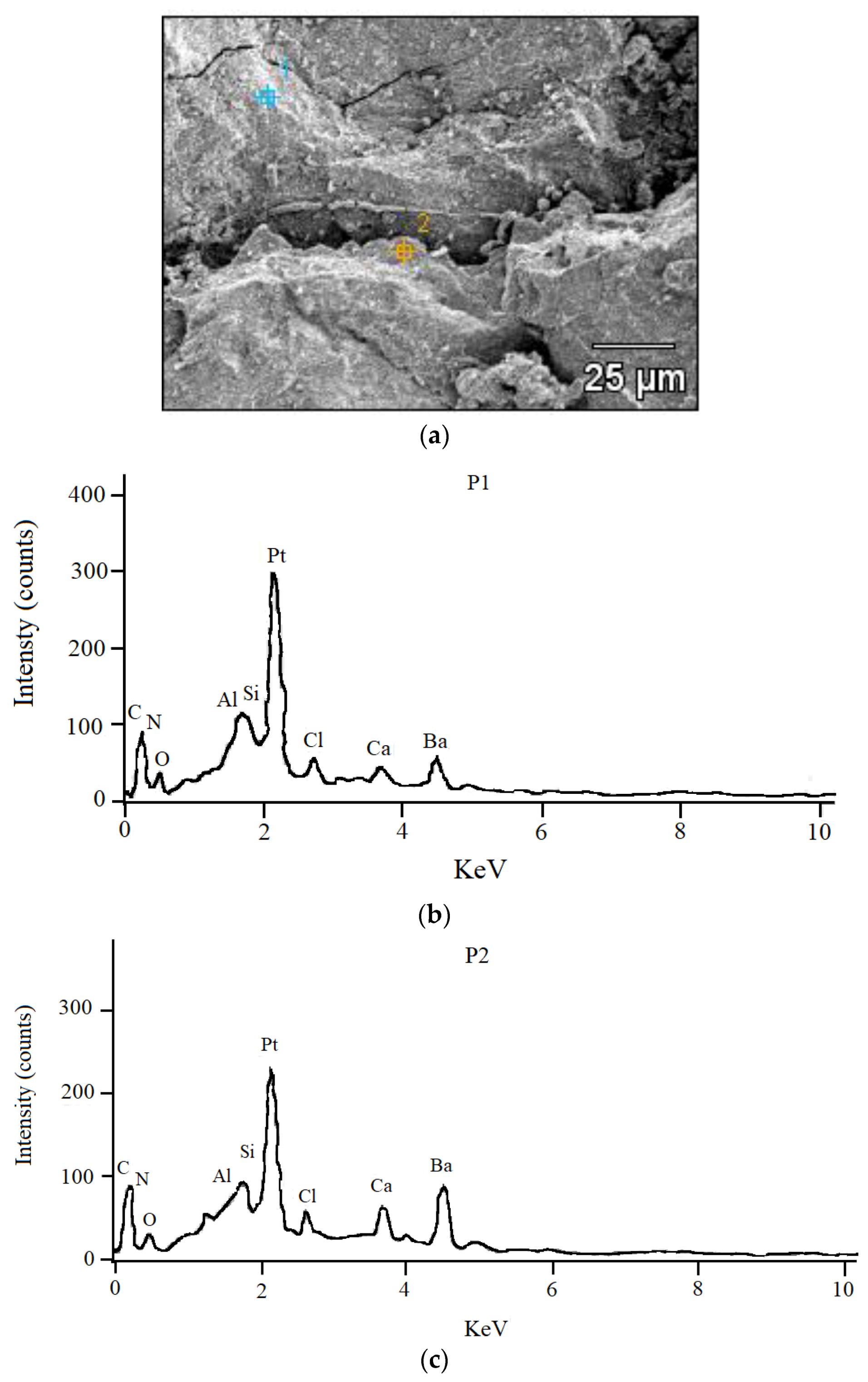 Coatings 10 00452 g005