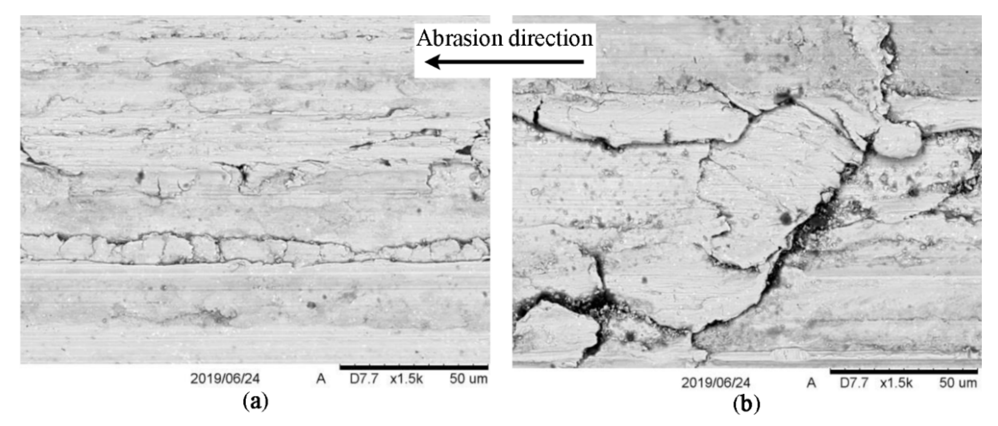 Coatings 10 00454 g010 Coatings 10 00454 g010