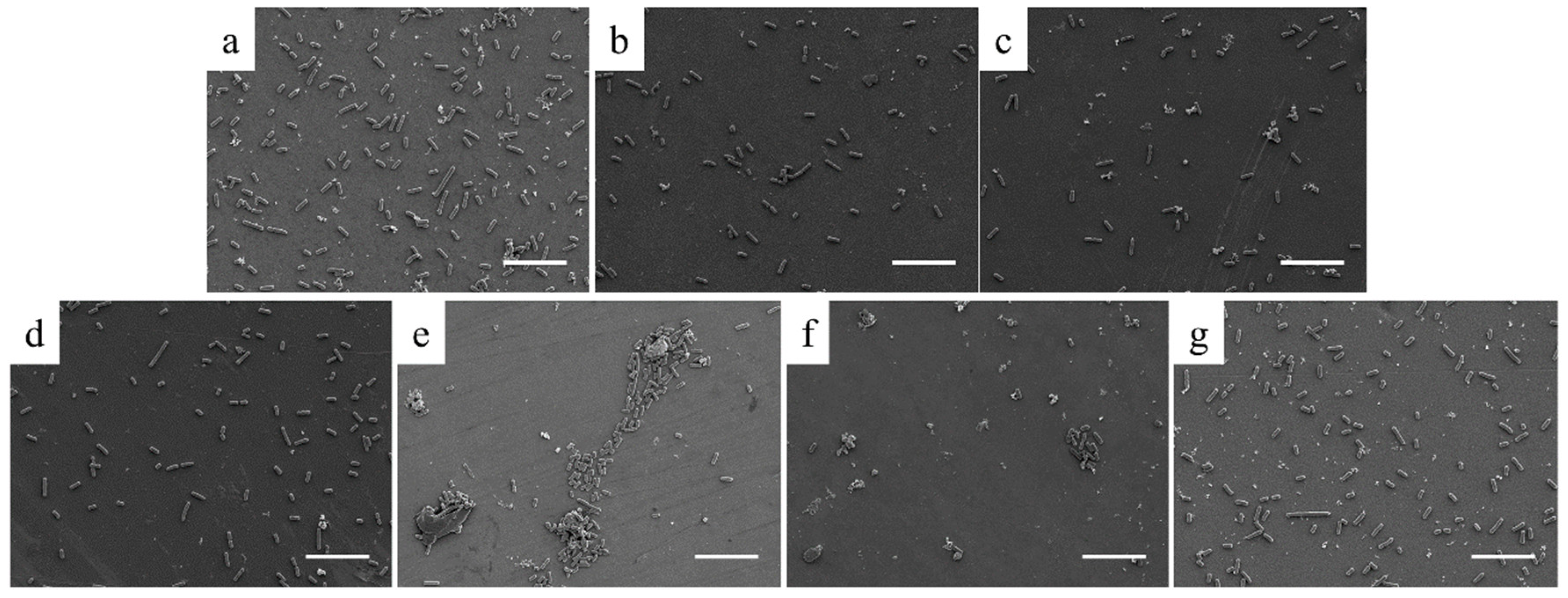 Coatings 10 00456 g007