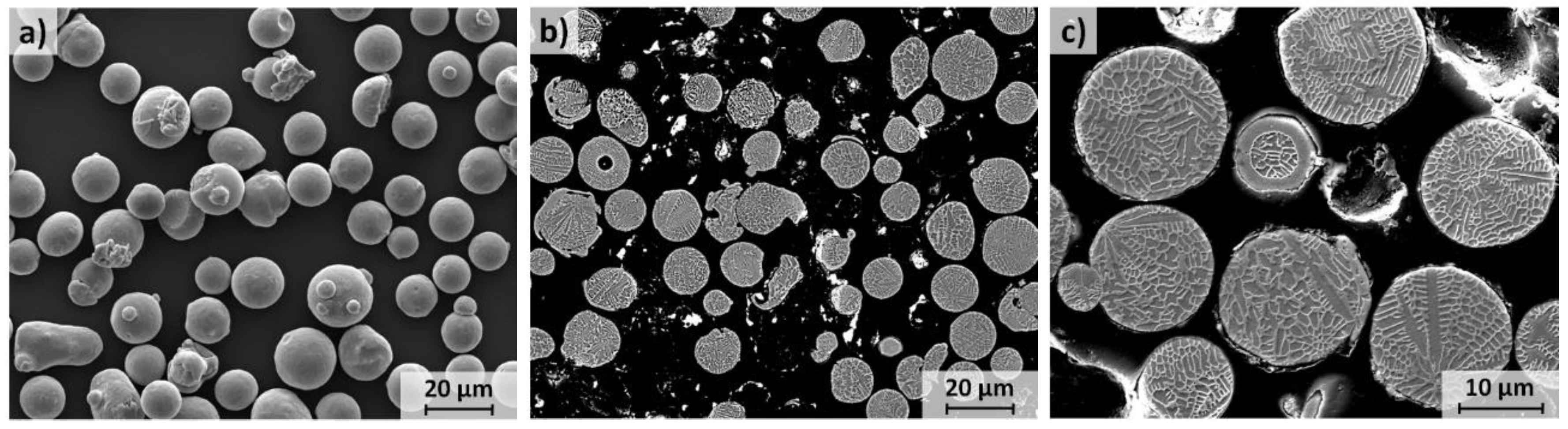 Coatings 10 00458 g001