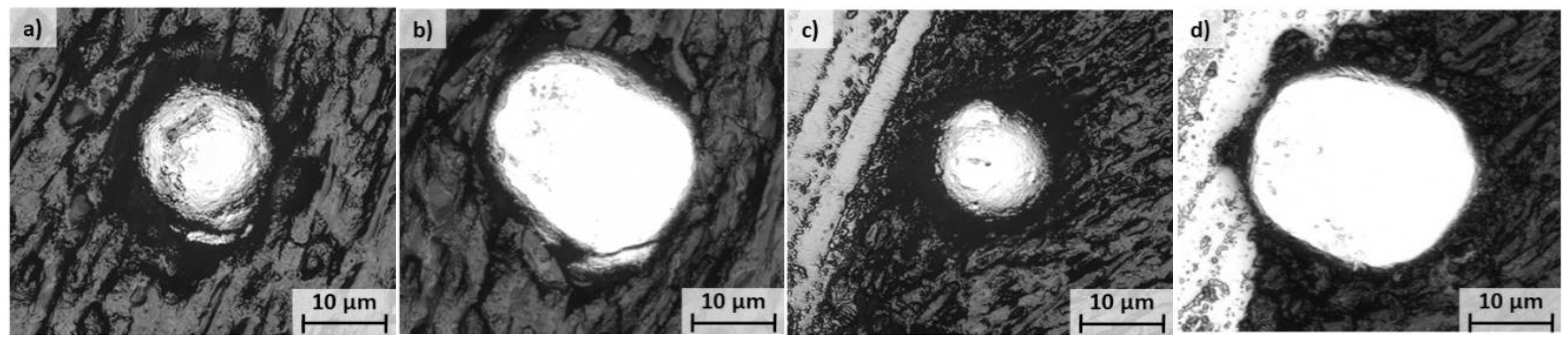 Coatings 10 00458 g002