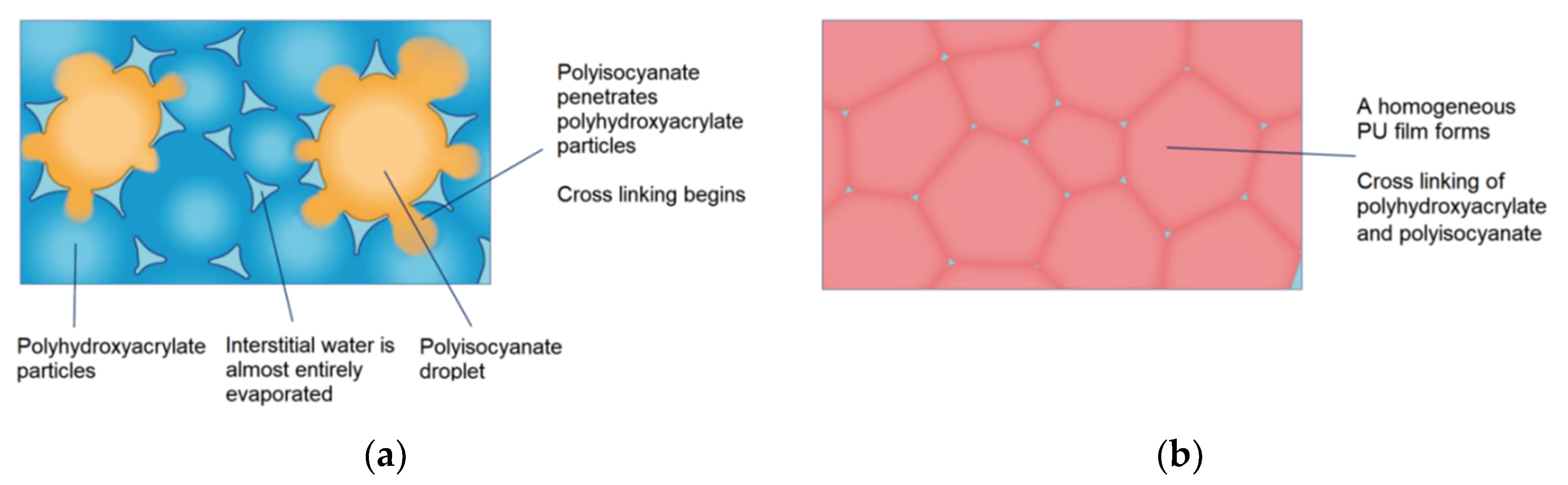 Coatings 10 00461 g006