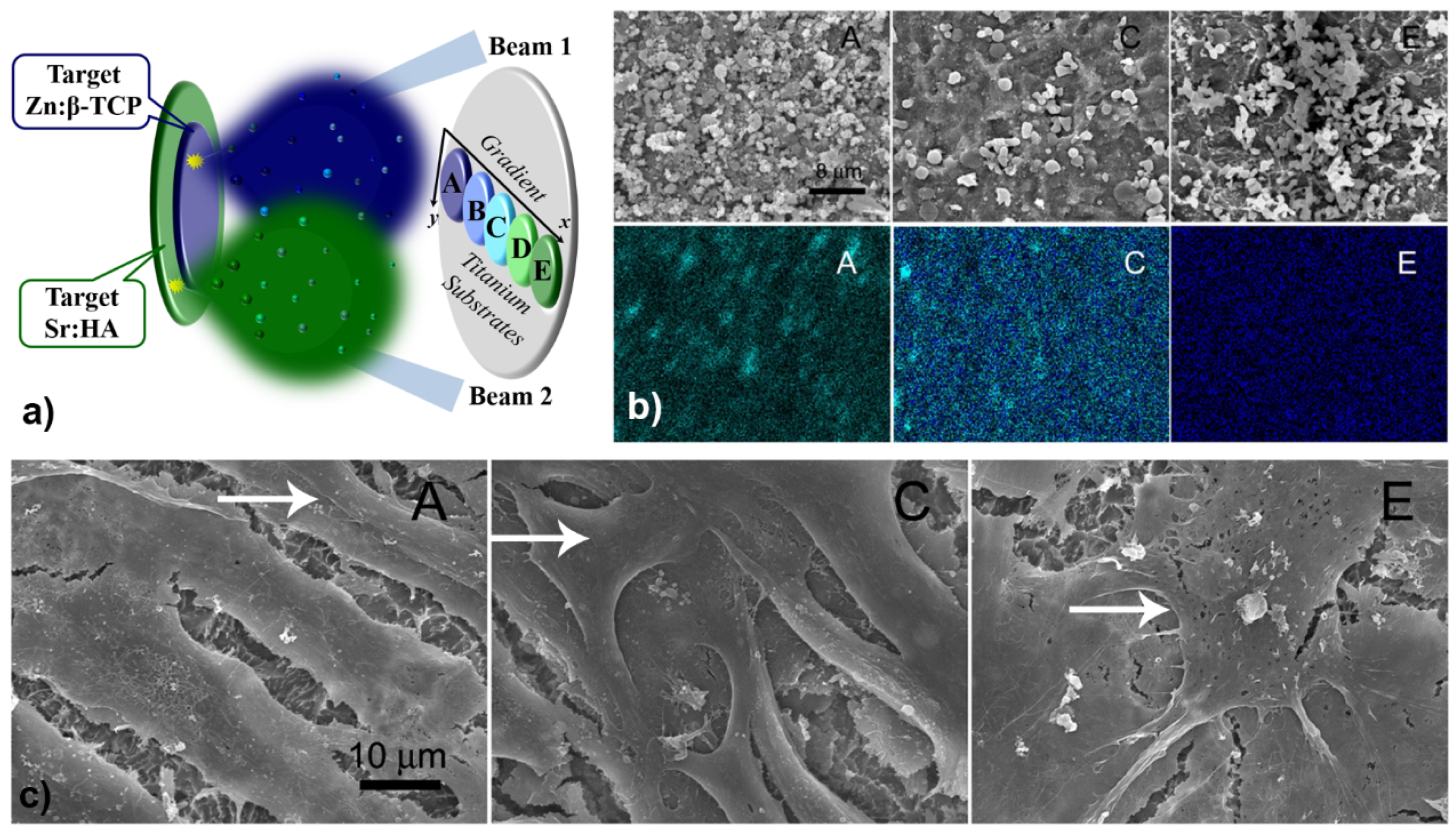 Coatings 10 00463 g004