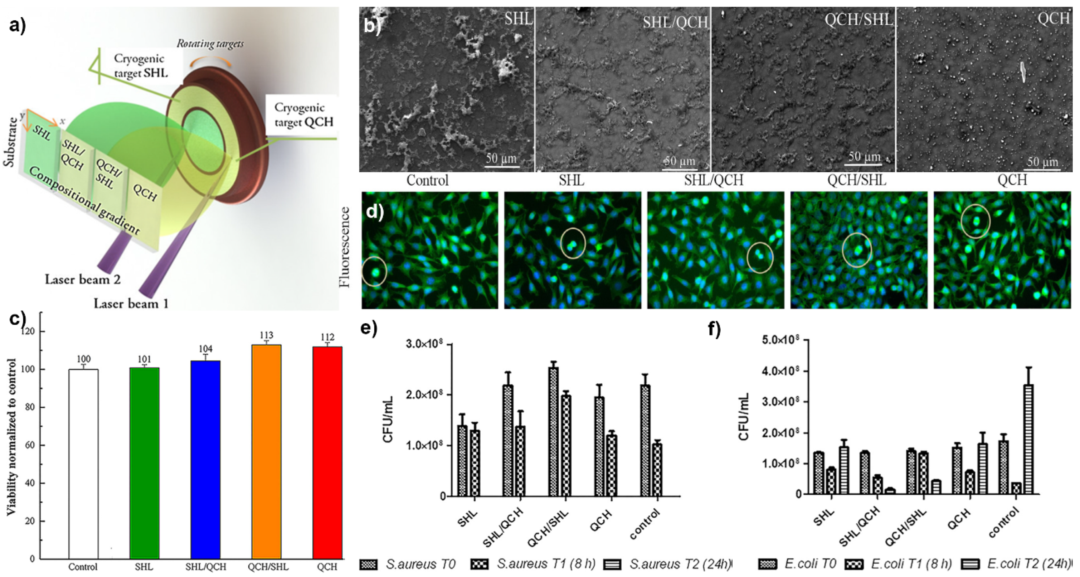 Coatings 10 00463 g005